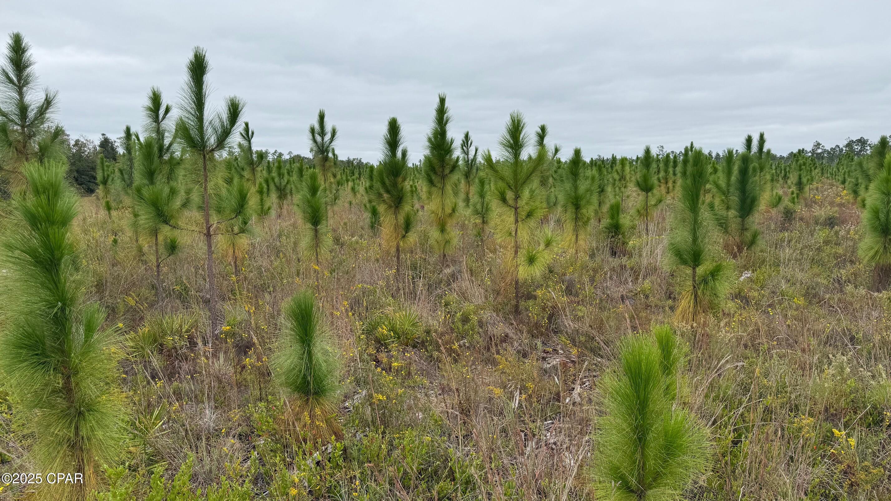 [No Recorded Subdiv] - Land