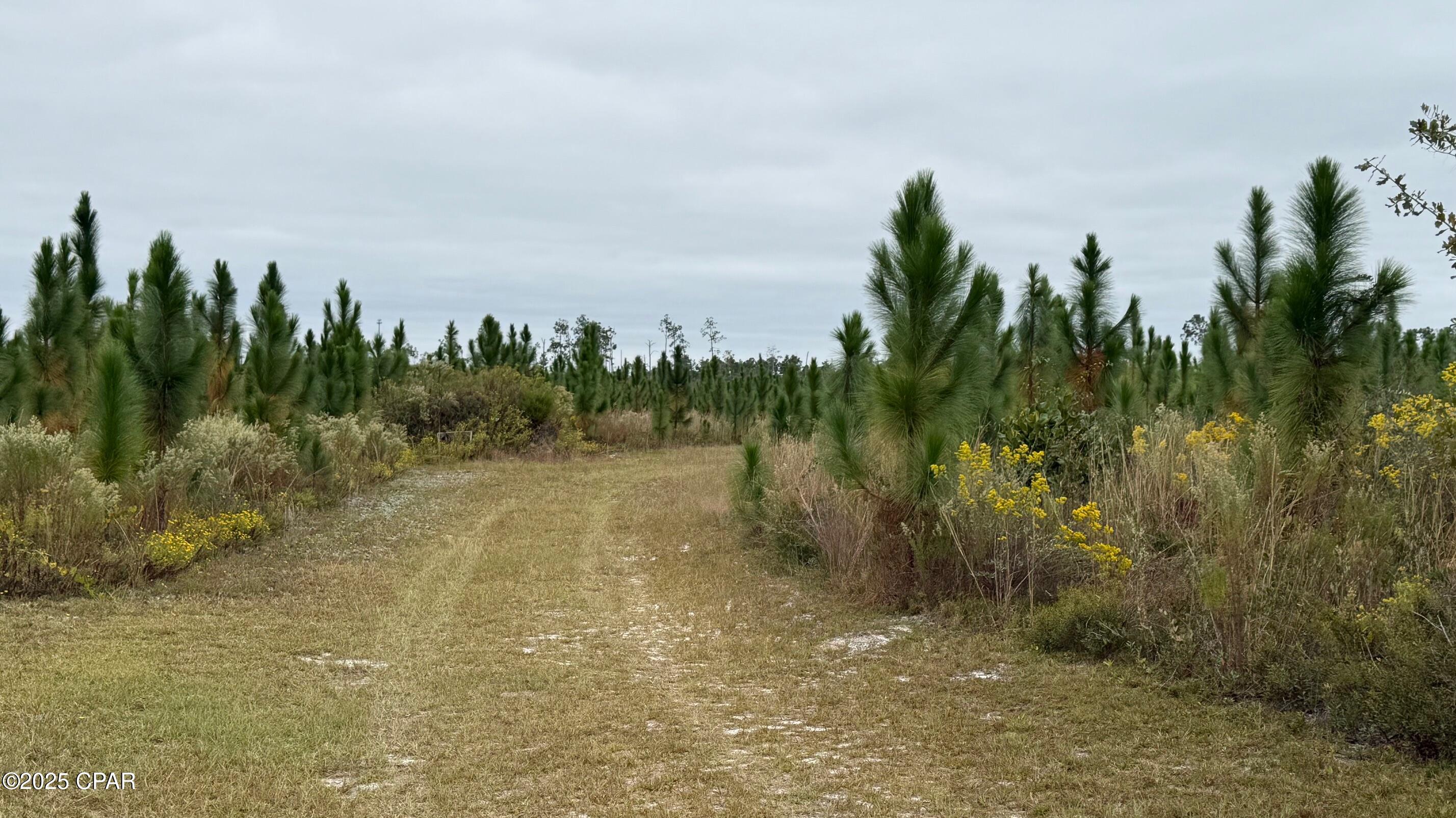 [No Recorded Subdiv] - Land