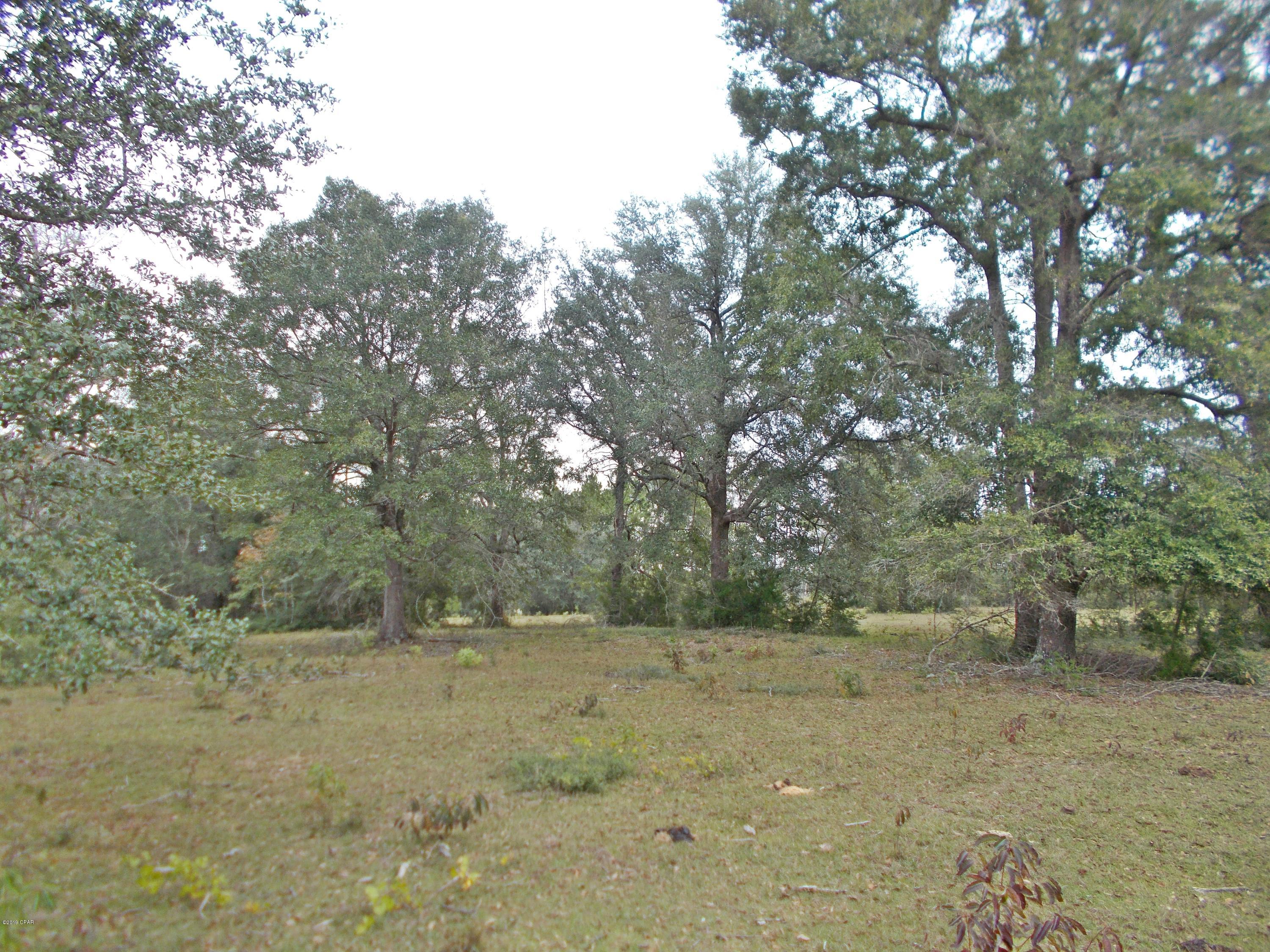 New Jerusalem - Land