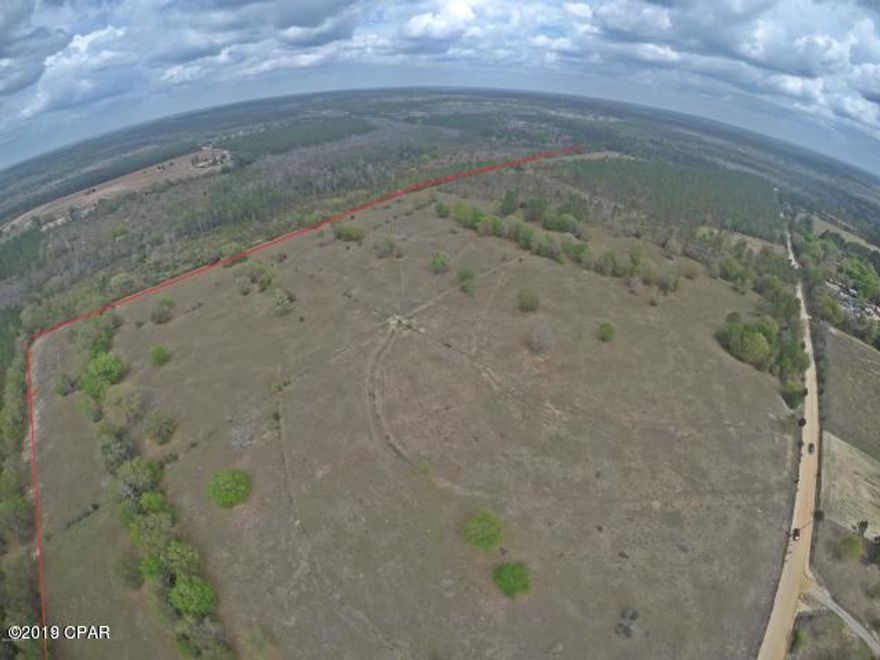 This is one of the prettiest parcels of land in Washington County I have seen, rolling hills that would make an excellent home site, cleared enough to build on, a total of 109 acres, plenty of scattered oaks, some mature planted pines that have been thinned and cleaned under.  There is frontage on Hwy 79 and Levins road has plenty of road frontage.