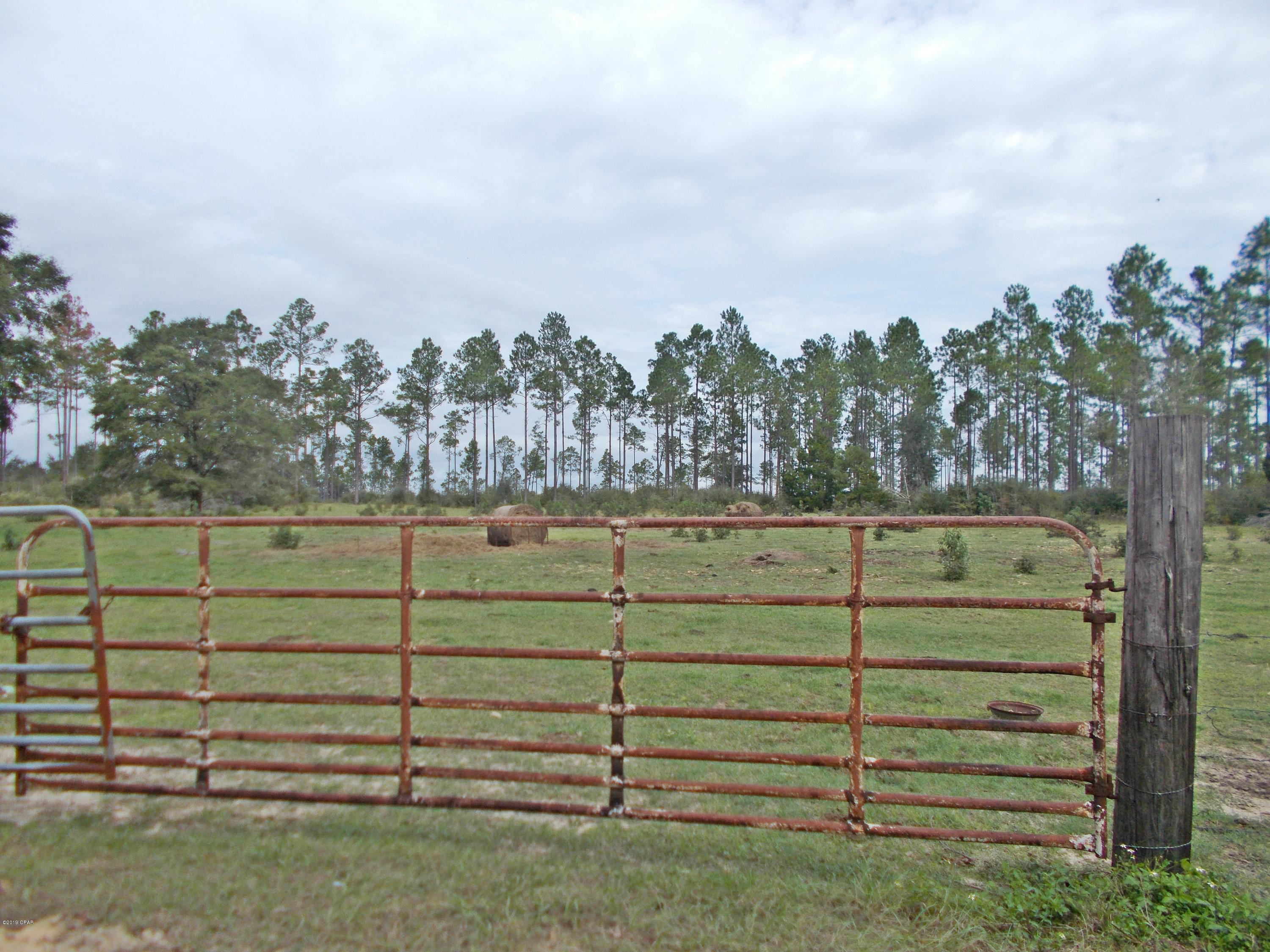 New Jerusalem - Land