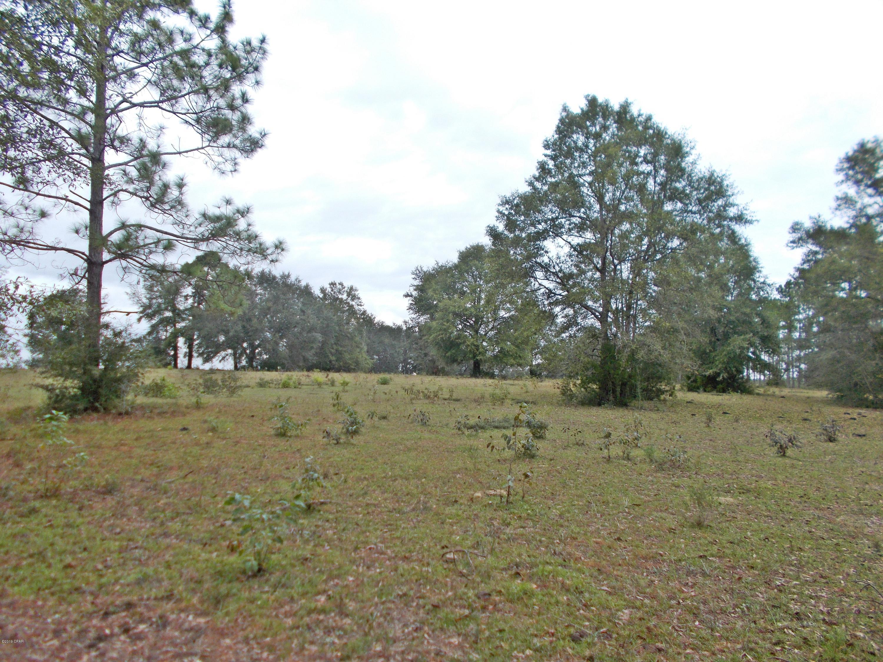 New Jerusalem - Land