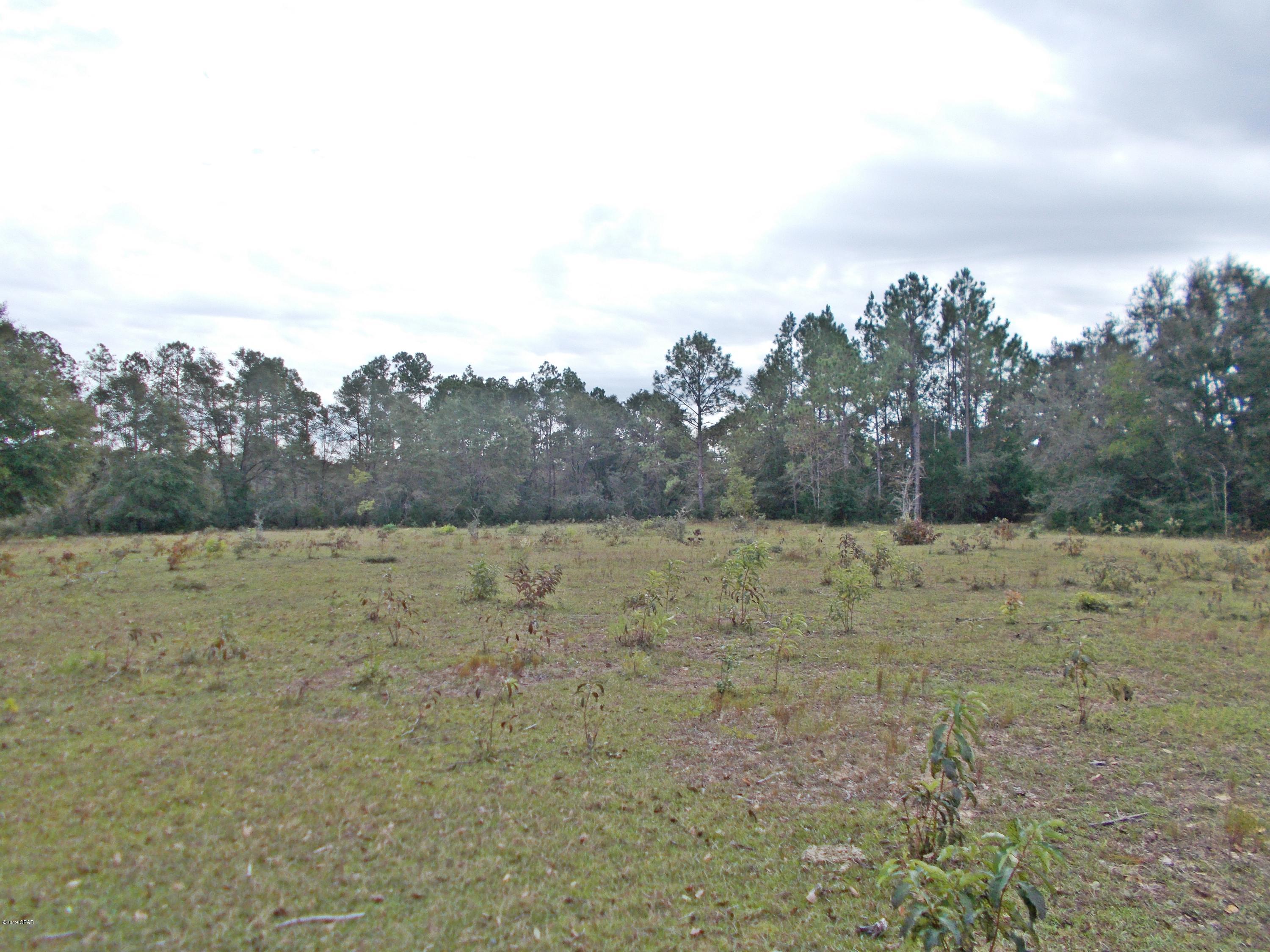 New Jerusalem - Land