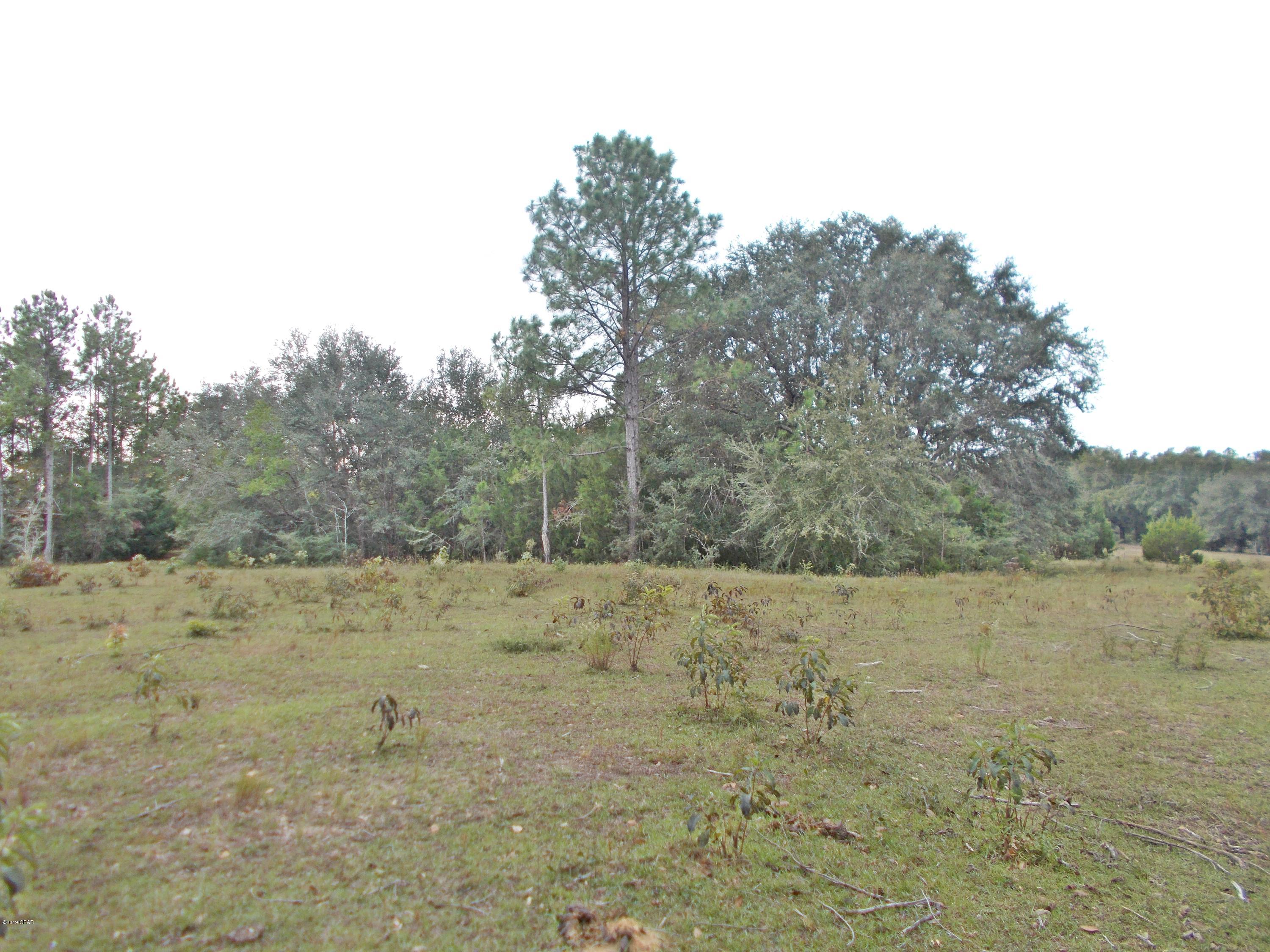 New Jerusalem - Land