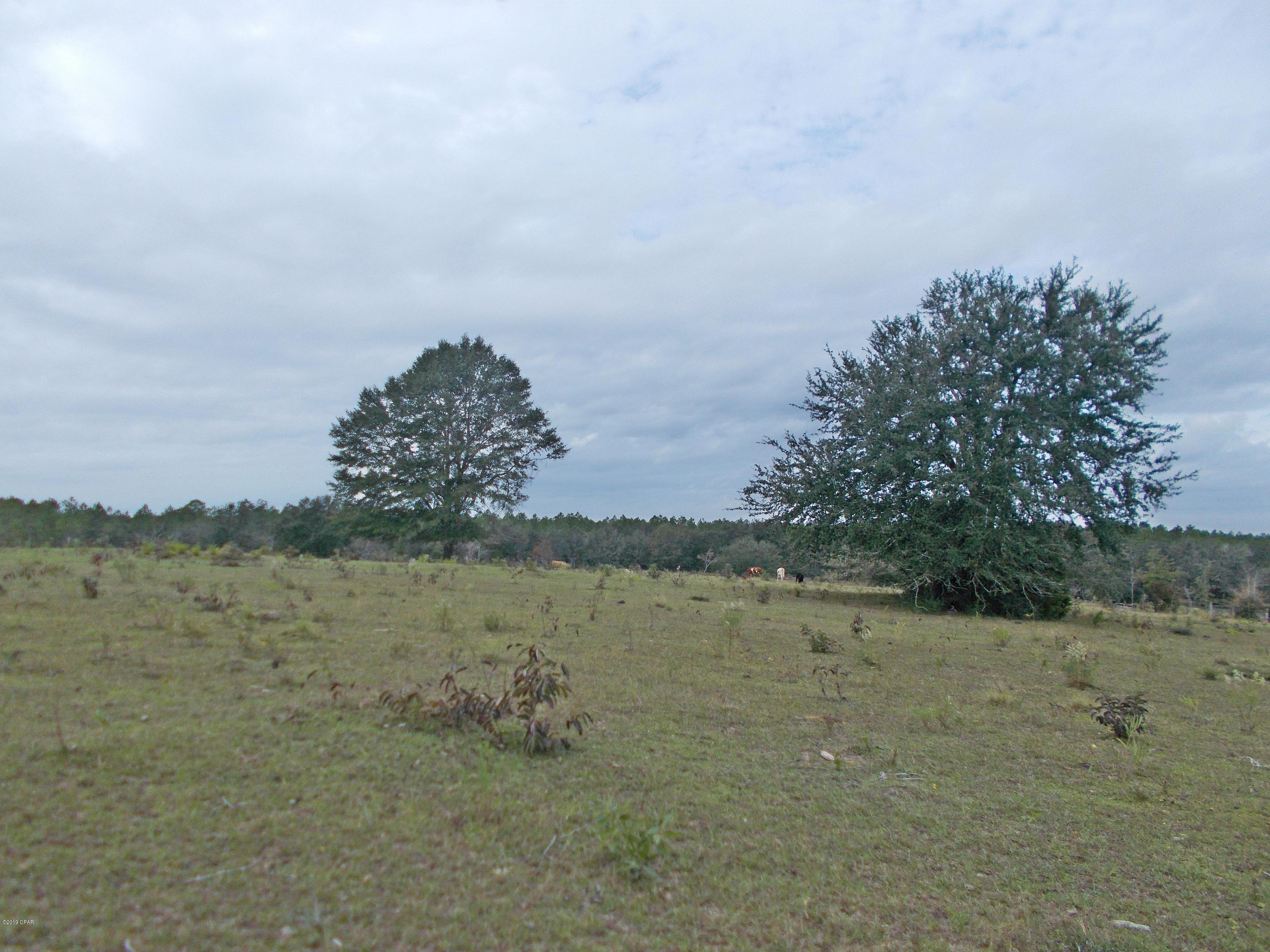 New Jerusalem - Land