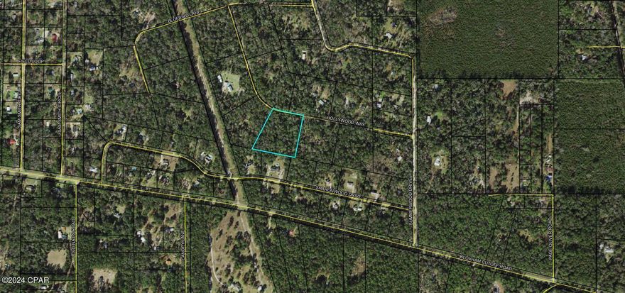 Bring or build your dream home on this beautiful 5 acre high and dry lot in the heart of Wakulla in Crawfordville. One of the last lots available in this area and it's not in a flood zone. Situated off Wakulla Springs Road, it's near the renowned springs, St. Marks bike trail, and just a 25-minute drive to Tallahassee. Enjoy the tranquility of peaceful, quiet country living, ready for you to make it your future home site. Envision the potential with 5 acres! Buying Land in Florida is a solid investment for your future, build your dream home, vacation home, rental investment or let the land build value as a great long-term investment to resell for a future profit.