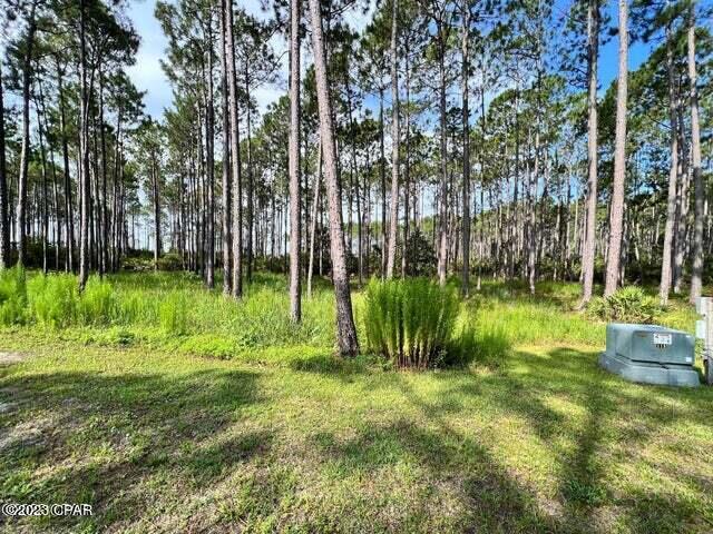 Rivercamps On Crooked Creek Ph 2 - Land