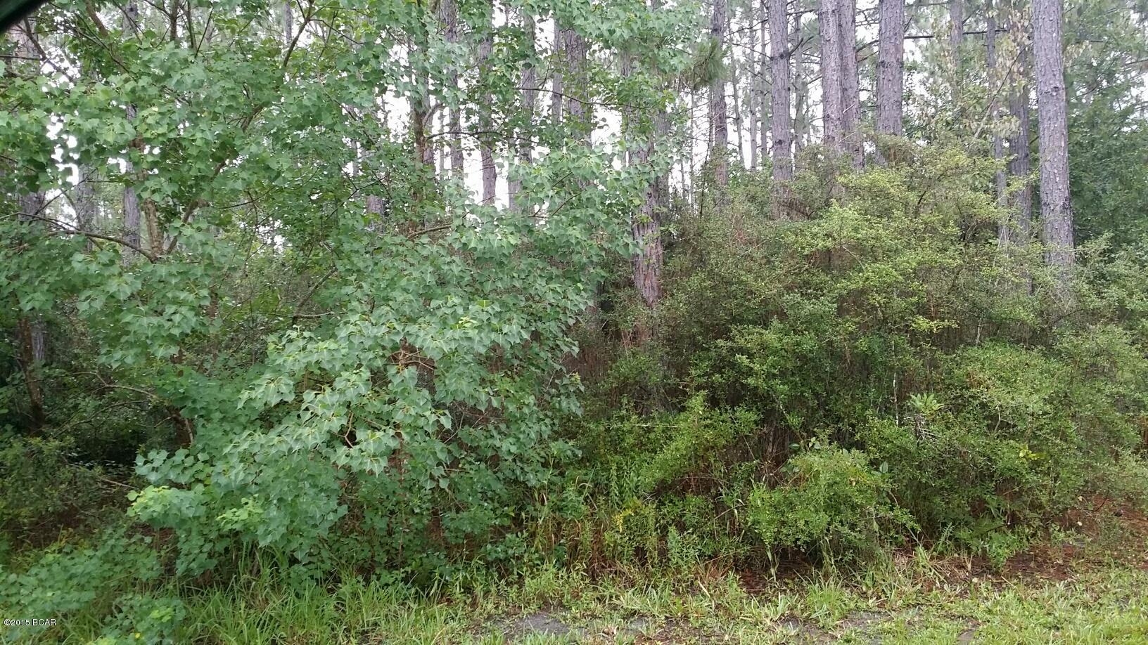 Bingoose Estates U-2 - Land