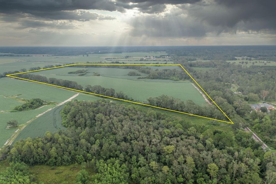 Looking for a Great Hunting Track... or Farm Land. Look no further, just minutes from down town Chipley.  131 acres does have some hardwoods.