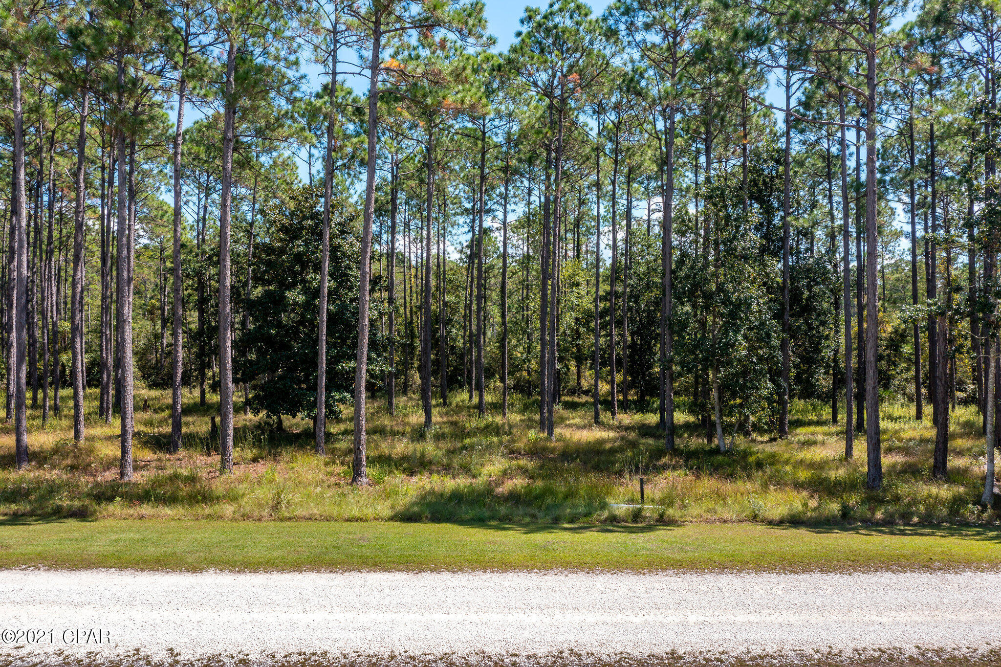 Rivercamps On Crooked Creek - Land