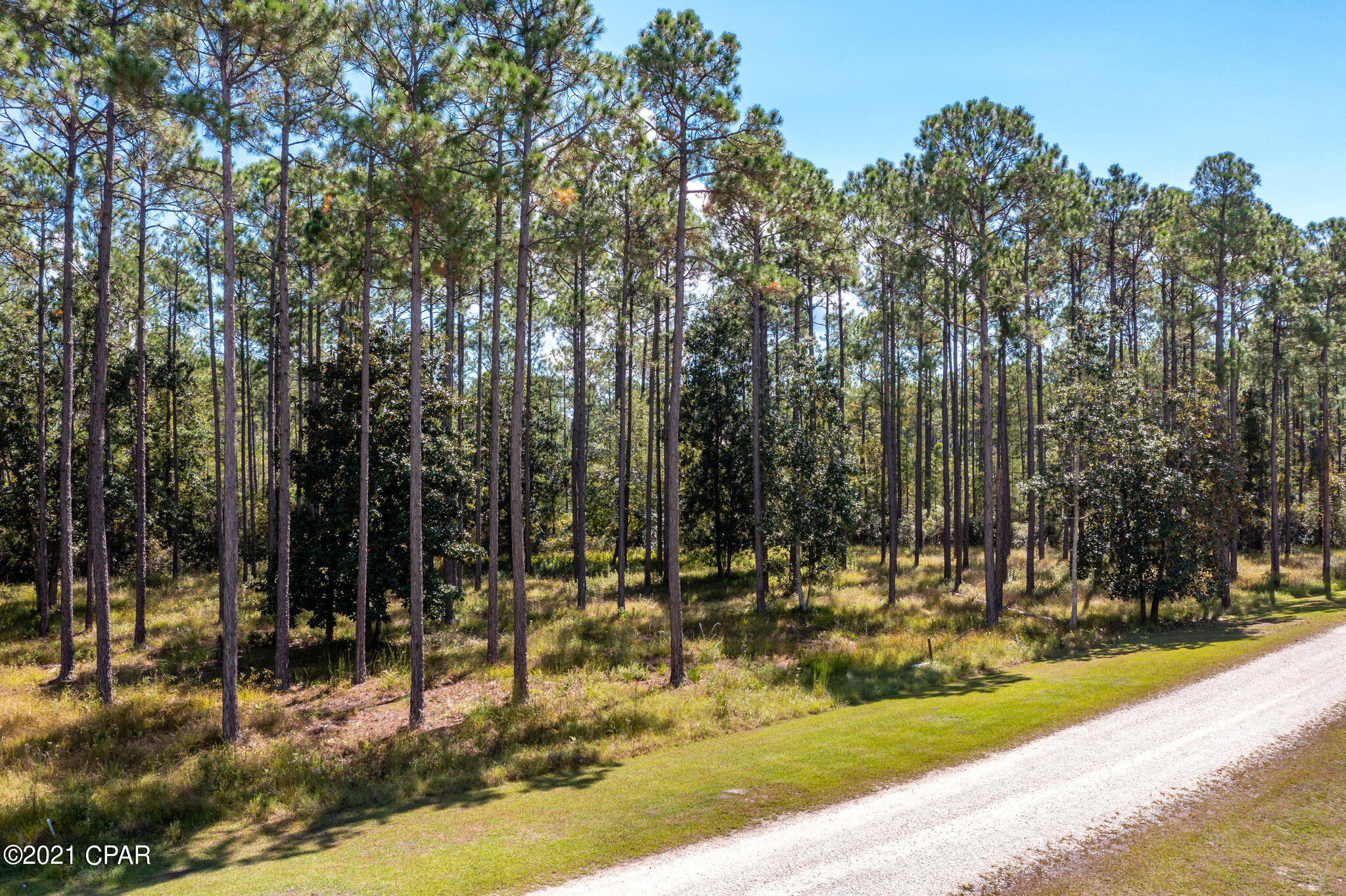 Rivercamps On Crooked Creek - Land