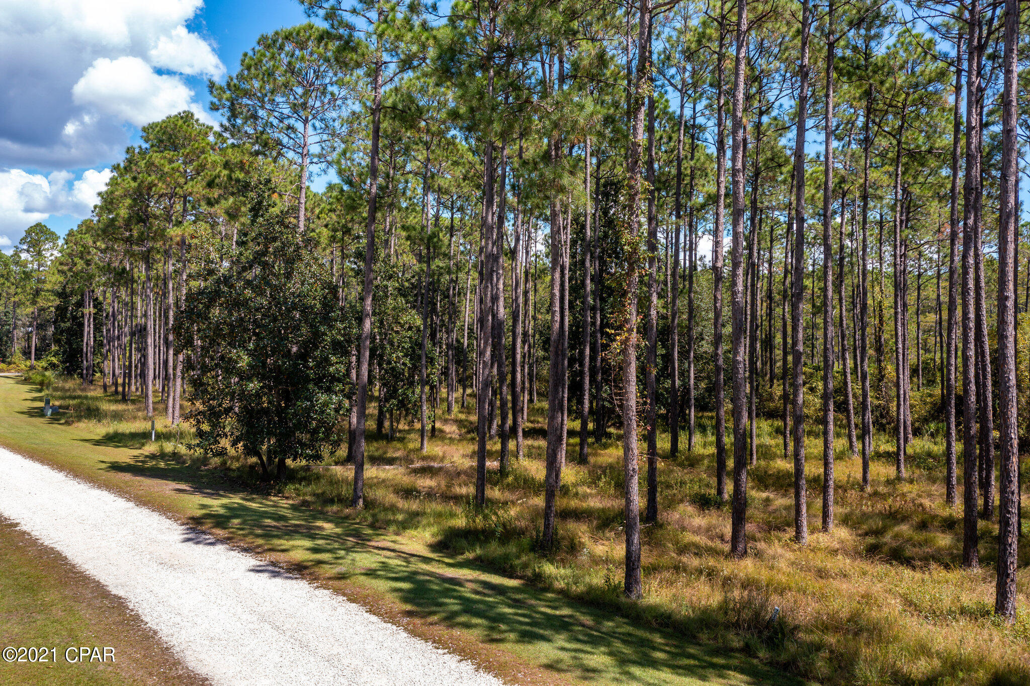 Rivercamps On Crooked Creek - Land