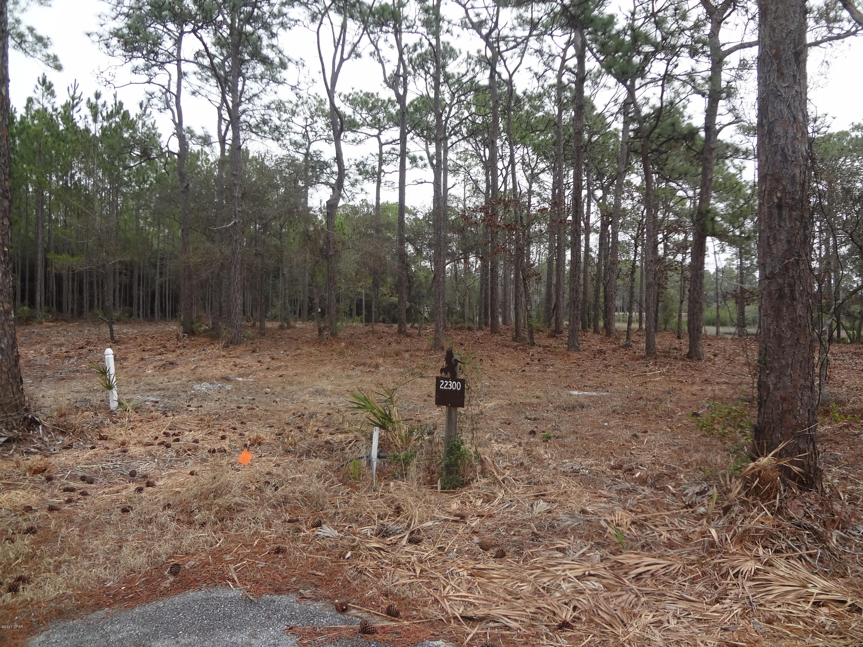 Wild Heron Phase I - Land