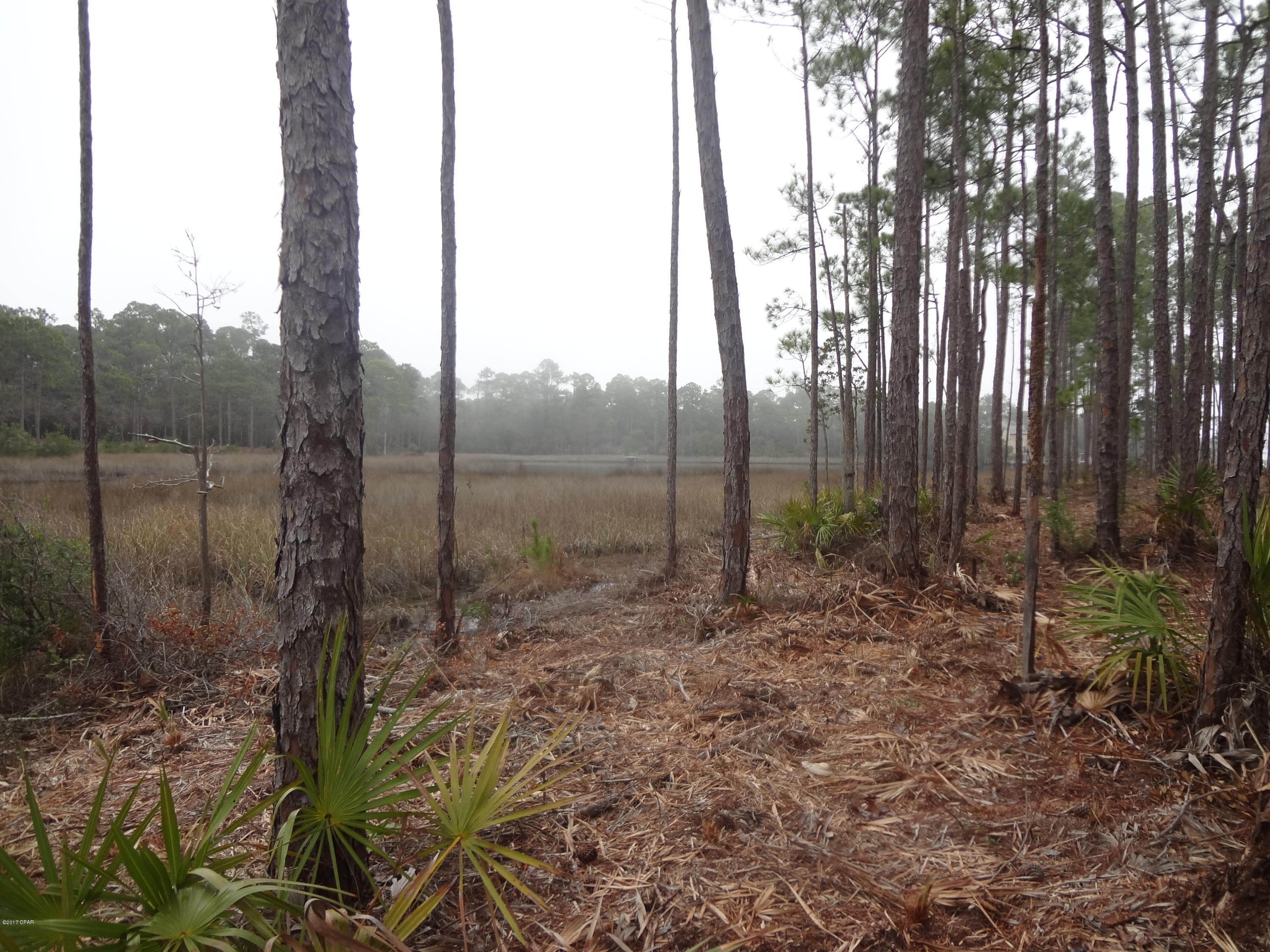 Wild Heron Phase I - Land