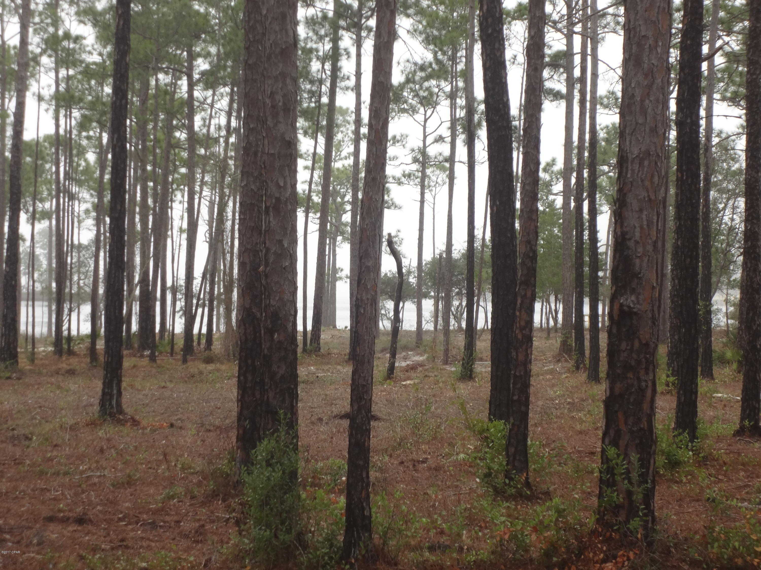 Wild Heron Phase I - Land