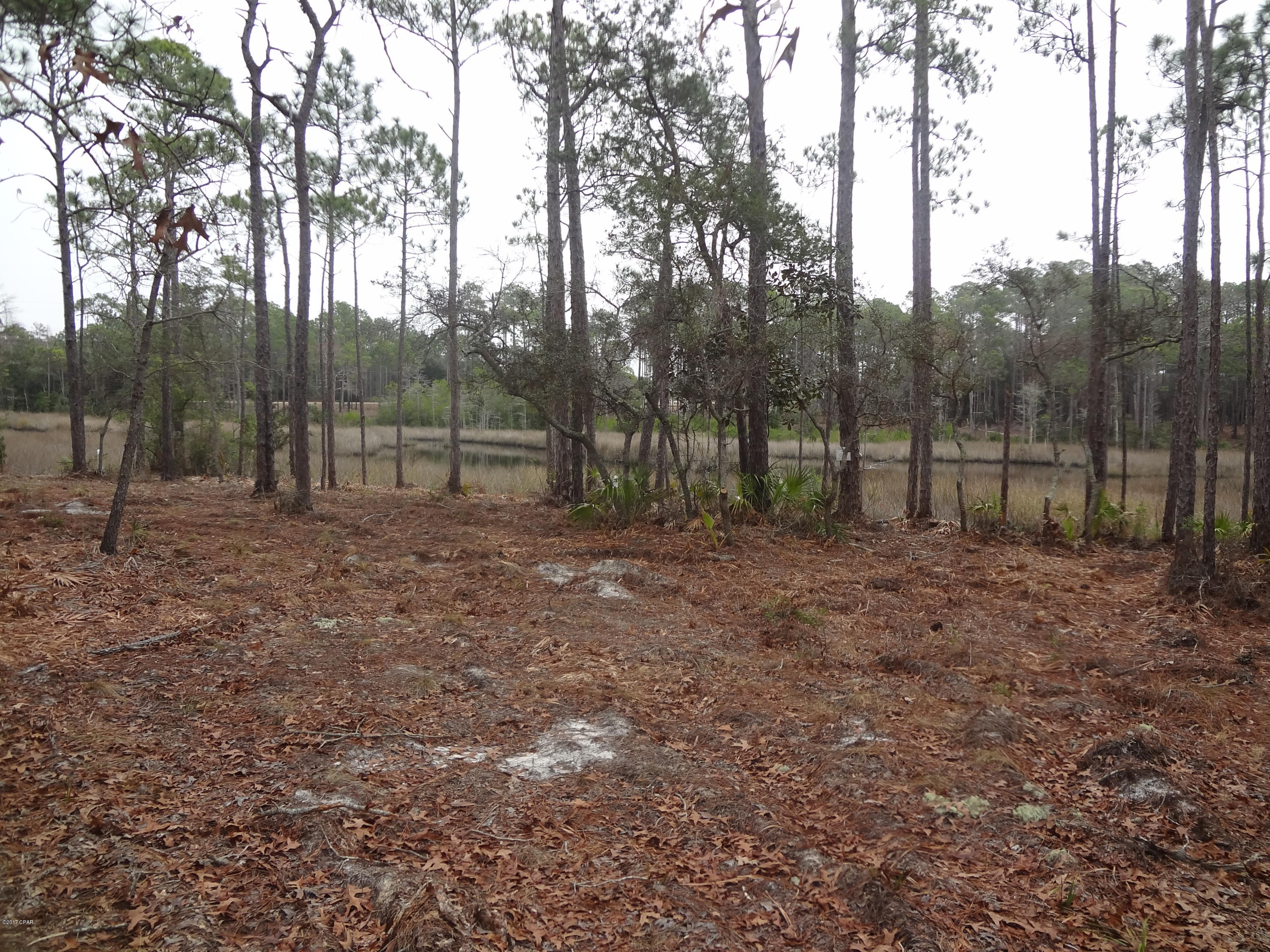 Wild Heron Phase I - Land