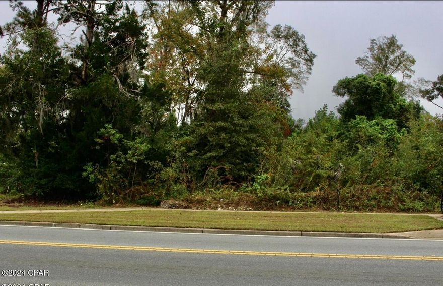 PRIME MIXED-USE OPPORTUNITY IN THE HEART OF MARIANNA!
Discover an exceptional business opportunity within the city limits of the charming Marianna, Fl. This versatile mixed-use property is ideally suited for entrepreneurs, investors, or anyone looking to capitalize on the area's growth. Perfect for retail, office space, or residential living, this property offers a blend of historic charm and modern convenience in a highly visible location. Whether you're launching a new business or expanding an existing one, this unique space offers endless possibilities to create something special. Don't miss out on the chance to invest in the future of beautiful Marianna! Measurements approximate, taken from tax​​‌​​​​‌​‌​​​​‌​​‌​​​​‌‌ records.