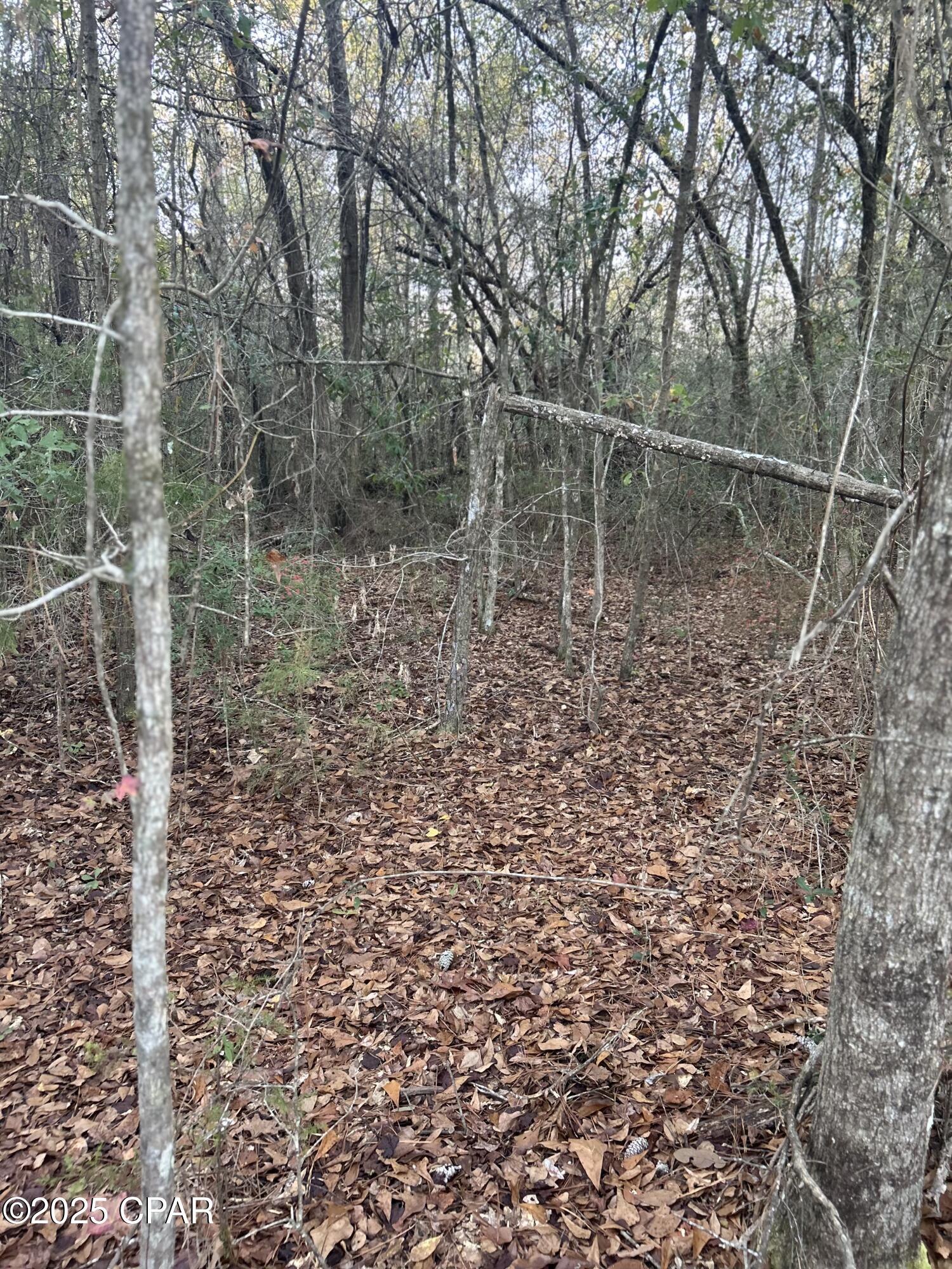 [No Recorded Subdiv] - Land