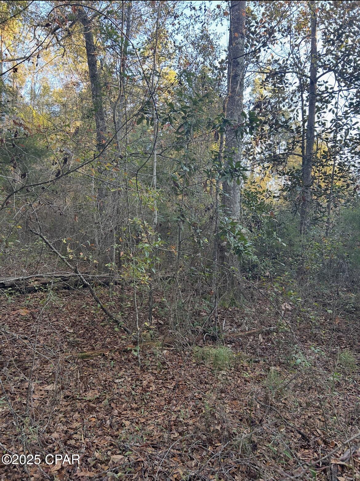 [No Recorded Subdiv] - Land