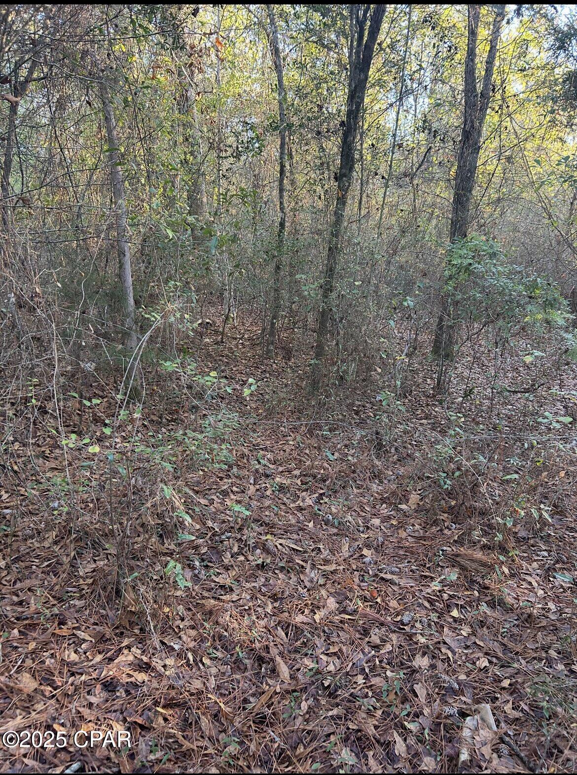 [No Recorded Subdiv] - Land