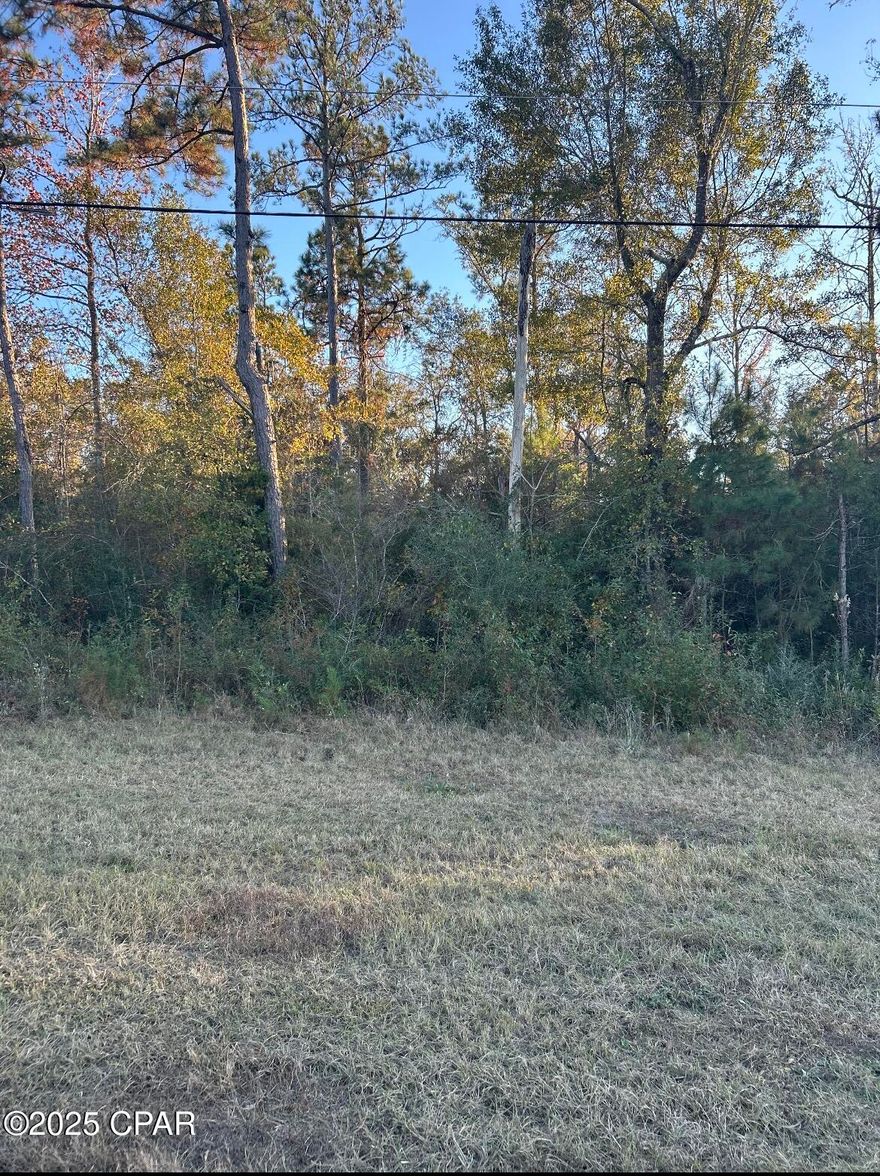Discover the perfect blend of privacy and convenience on this 4.37± acre wooded homesite, ideally located just off Highway 90 on the peaceful outskirts of Marianna. Sitting high and dry, this beautifully timbered parcel offers a serene natural setting while still keeping you close to town amenities, schools, shopping, and major travel routes.
Access to the property is provided by a legal easement from Highway 90, giving you both seclusion and straightforward entry. With ample room to design your ideal layout, you can clear the portion you choose and build the dream home you've always imagined—whether you envision a cozy cabin tucked among the trees or a spacious modern retreat.