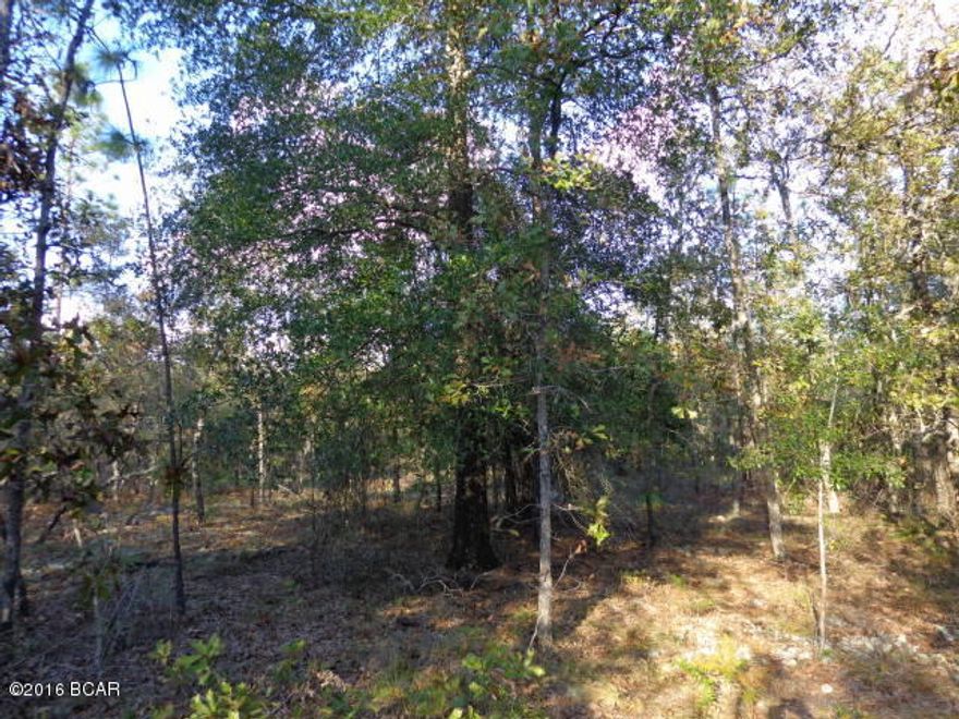 This property is high and dry. Wooded acreage located on a paved road close to the Volunteer Fire Dept & Lake McKenzie. Larger oak trees toward the back of the property. Many building sites to choose from. Priced right to sell. Property is ''L'' shaped and to be surveyed out of parent parcel.