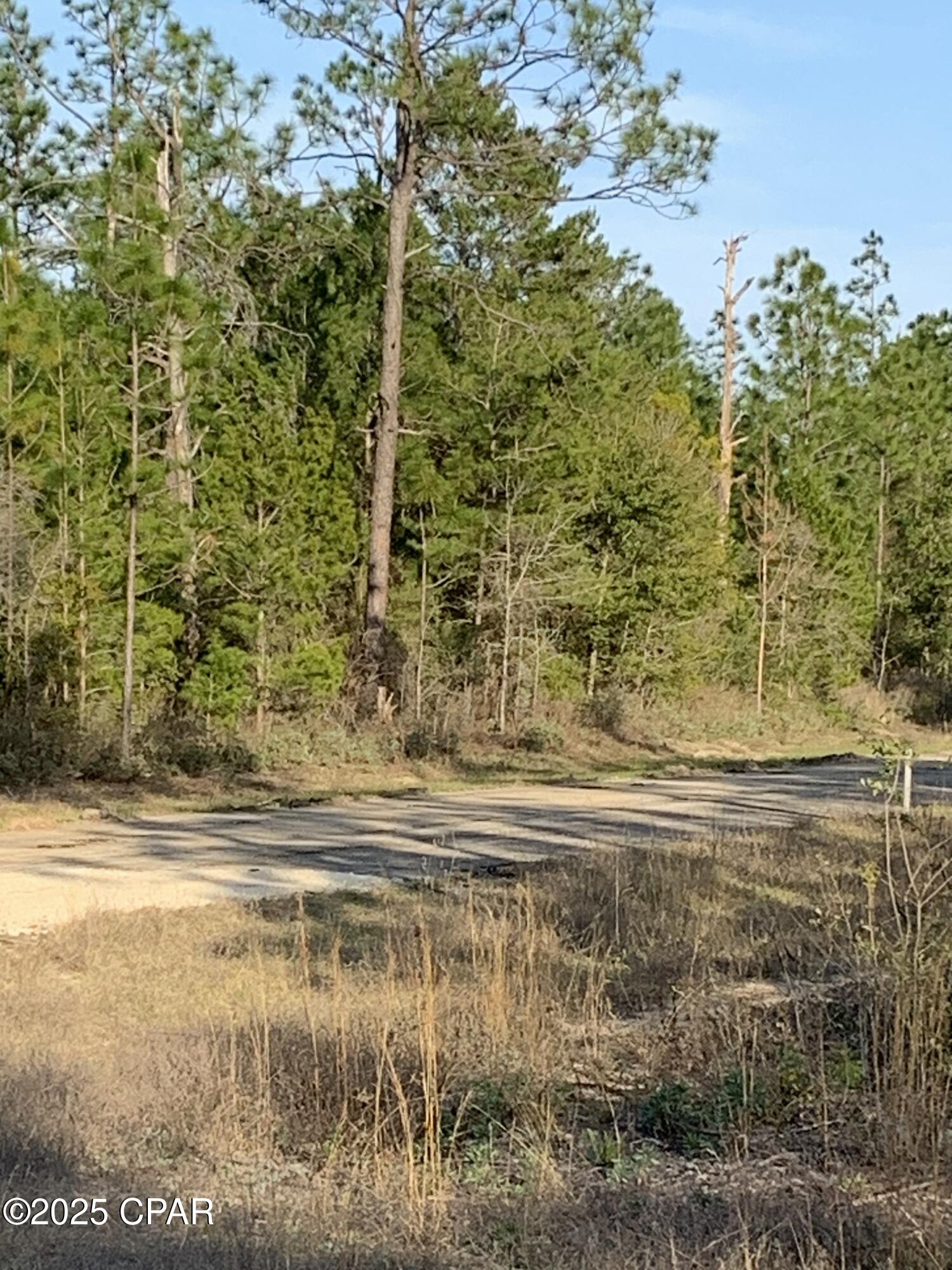 Sunny Hills Unit 1 - Land