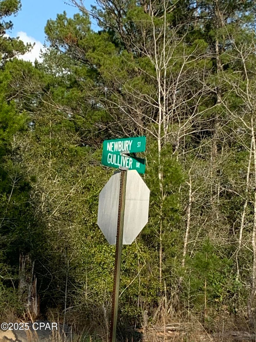 Welcome to the perfect opportunity to build your dream home in the growing community of Sunny Hills! Sunny Hills is a deed restricted community with a popular and affordable 18 hole public golf course with clubhouse, numerous lakes for recreational activities such as boating, swimming & fishing. Country living and only 45 minutes to Panama City Beach & Northwest Florida Beaches International Airport!  Chipley is approx. 20 miles away.