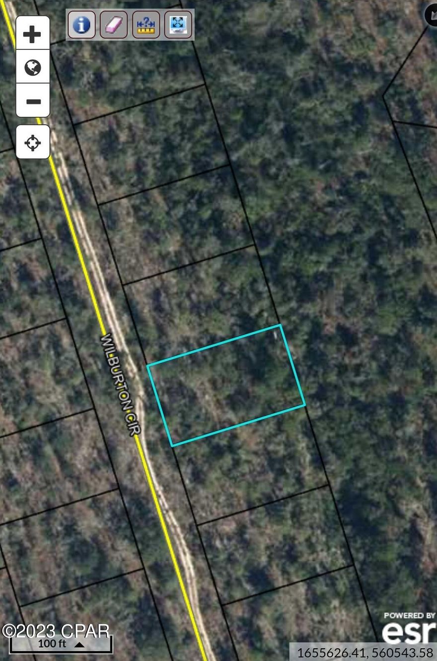 This property currently has no physical access. The roads are recorded with the county but were never cleared. This property is in the up-and-coming Sunny Hills subdivision. It is in area of the subdivision that has been relatively untouched to development recently. Sunny Hills is home to a golf course, Boat Lake Swim Park and a recreational park (see photos). Sunny Hills has seen recent growth overall with many builders currently building new homes in the area once again. There are also many lakes in the area. Taxes include a $31.91 MSBU annual assessment. Additional Lot right beside this one available for the same price by the same seller.