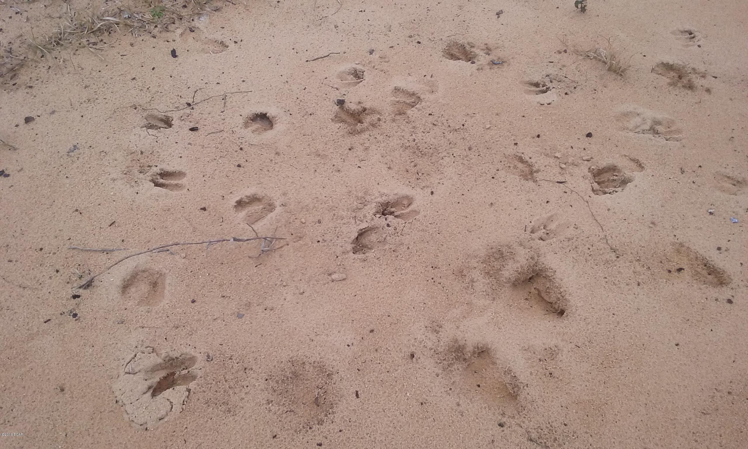 Econfina Estates Unrecord. - Land