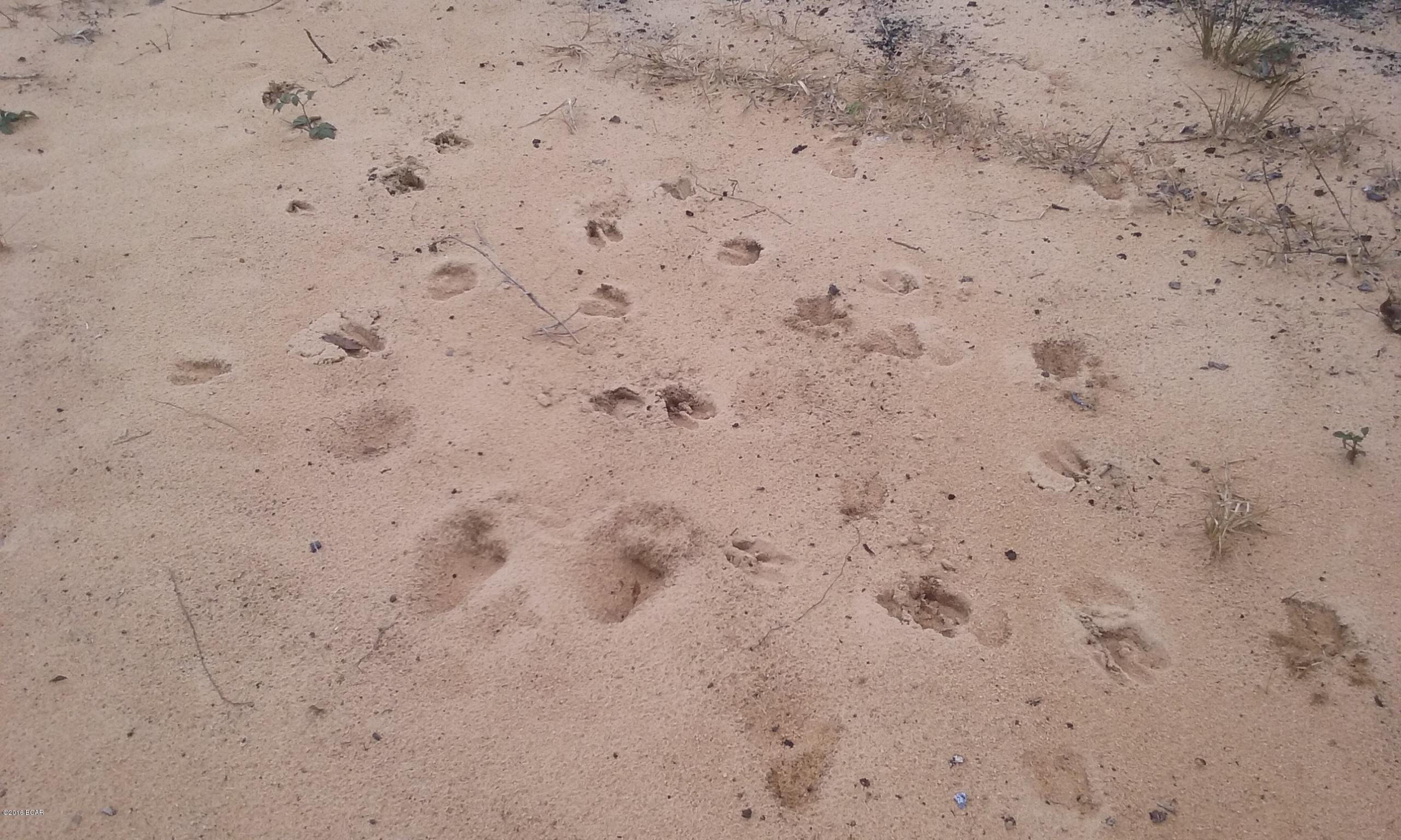 Econfina Estates Unrecord. - Land