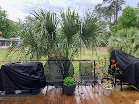 Lagoon Heights - Residential