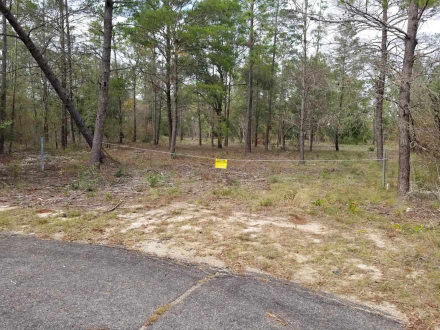 For anyone hunting a private setting, this 3.45 acre parcel may be the one. It backs up to a large fenced plot of land used for hunting and is at the end of a cul-de-sac. A resident could build a home in the middle of this lot and would not be visible to anyone driving by. There are currently no homes on the street, too. It is flat land and the underbrush has been mowed so the layout of the property can easily be seen. Located within a security gated community, it offers amenities such as a pool, pavilion, grill stations, toddler playground, men's and women's restrooms, basketball court, tennis court, exercise room, boat launch and more. Live gate guards are on duty weekdays, and property owners have a private punch pad code for access on nights and weekends.