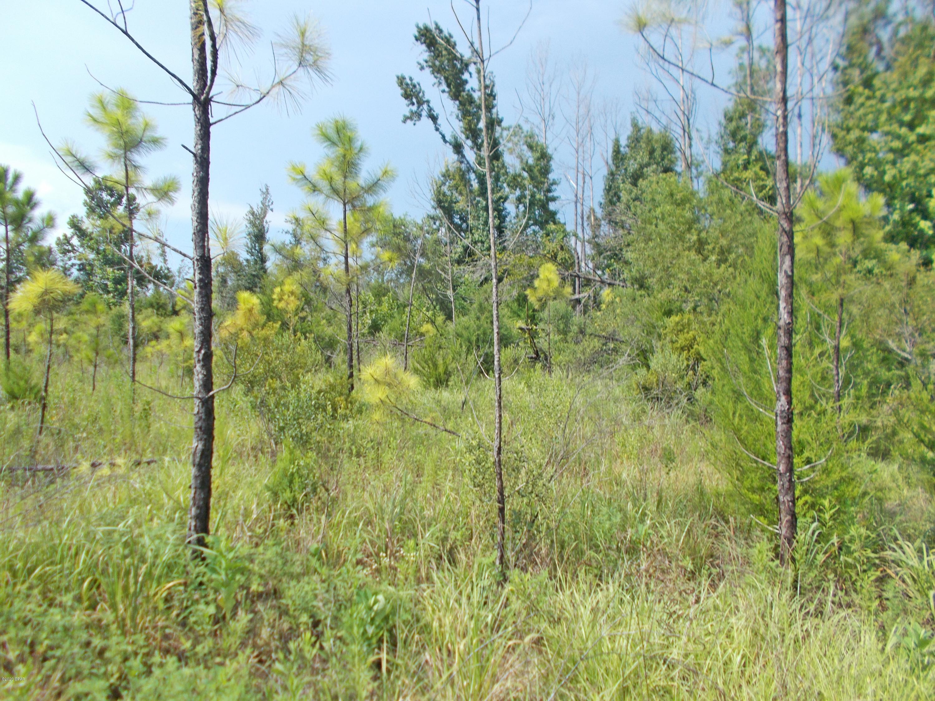 No Named Subdivision - Land