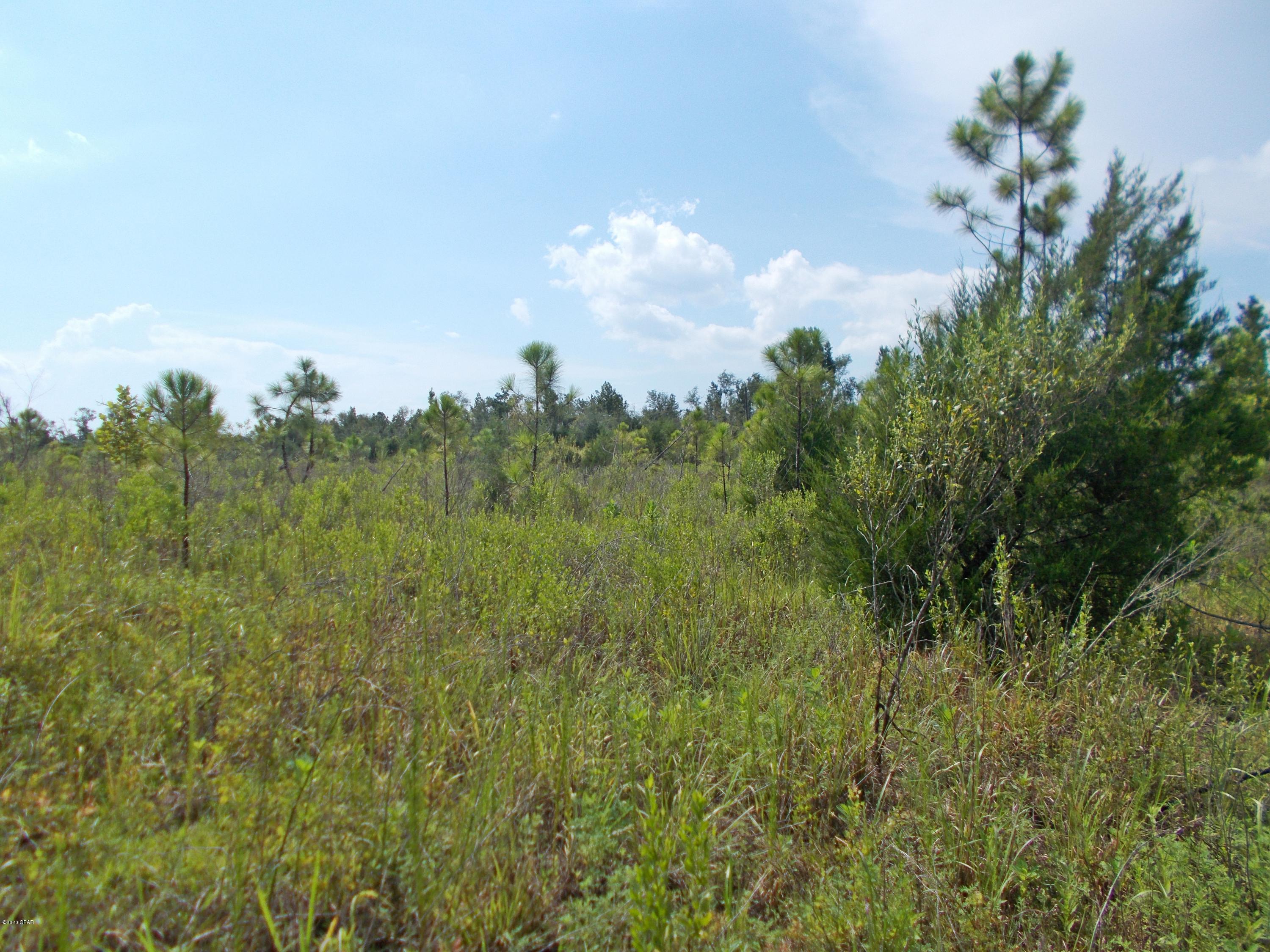 No Named Subdivision - Land