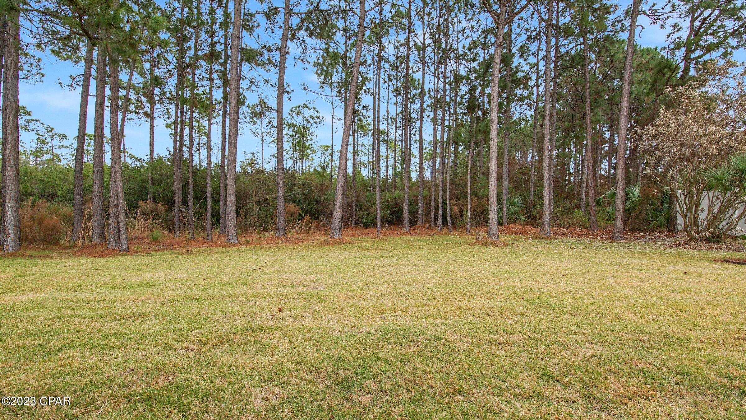 Palmetto Trace Phase 2 - Residential