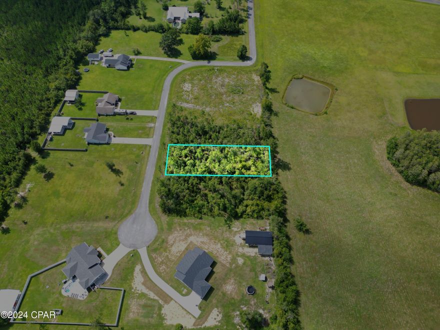 For sale: A prime residential lot in the desirable Mill Ridge Subdivision, perfect for building your dream home. This .562-acre wooded parcel offers a serene and private setting, surrounded by natural beauty while still being close to all amenities. Approximately 1 hour from Panama City Beach and only about 30 minutes to Mexico Beach.  Whether you're looking to create a tranquil retreat or a family-friendly home, this spacious lot provides ample space and flexibility. Don't miss the opportunity to own a piece of this sought-after community. Act now to secure your future in Mill Ridge!
No mobile or manufactured homes are permitted.