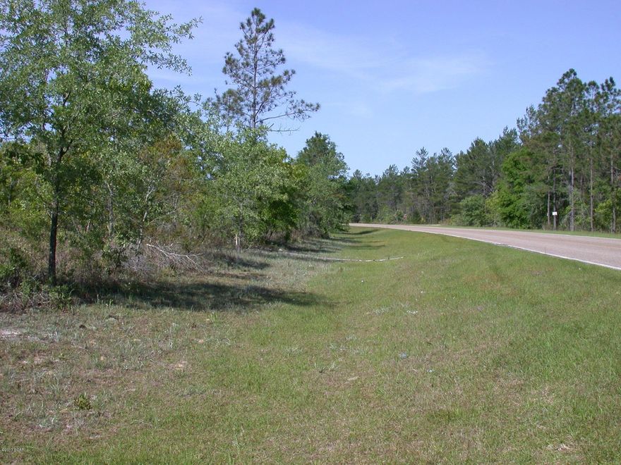 10 acre parcel with cr 274 frontage for under 25,000!  Bring your 4 wheeler and your gardening tools as you will have room for both plus more just a few minutes drive west of Altha.  This is a chance to own a tract of land in an area that is not over-developed and still private at a great price.  There are a few deed restrictions (attached) that will help keep your property value up.