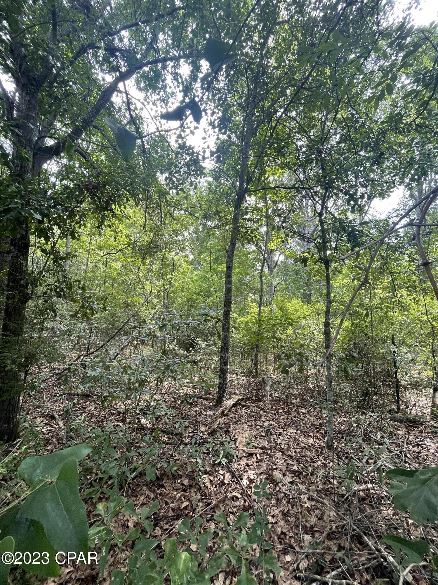 No Named Subdivision - Land