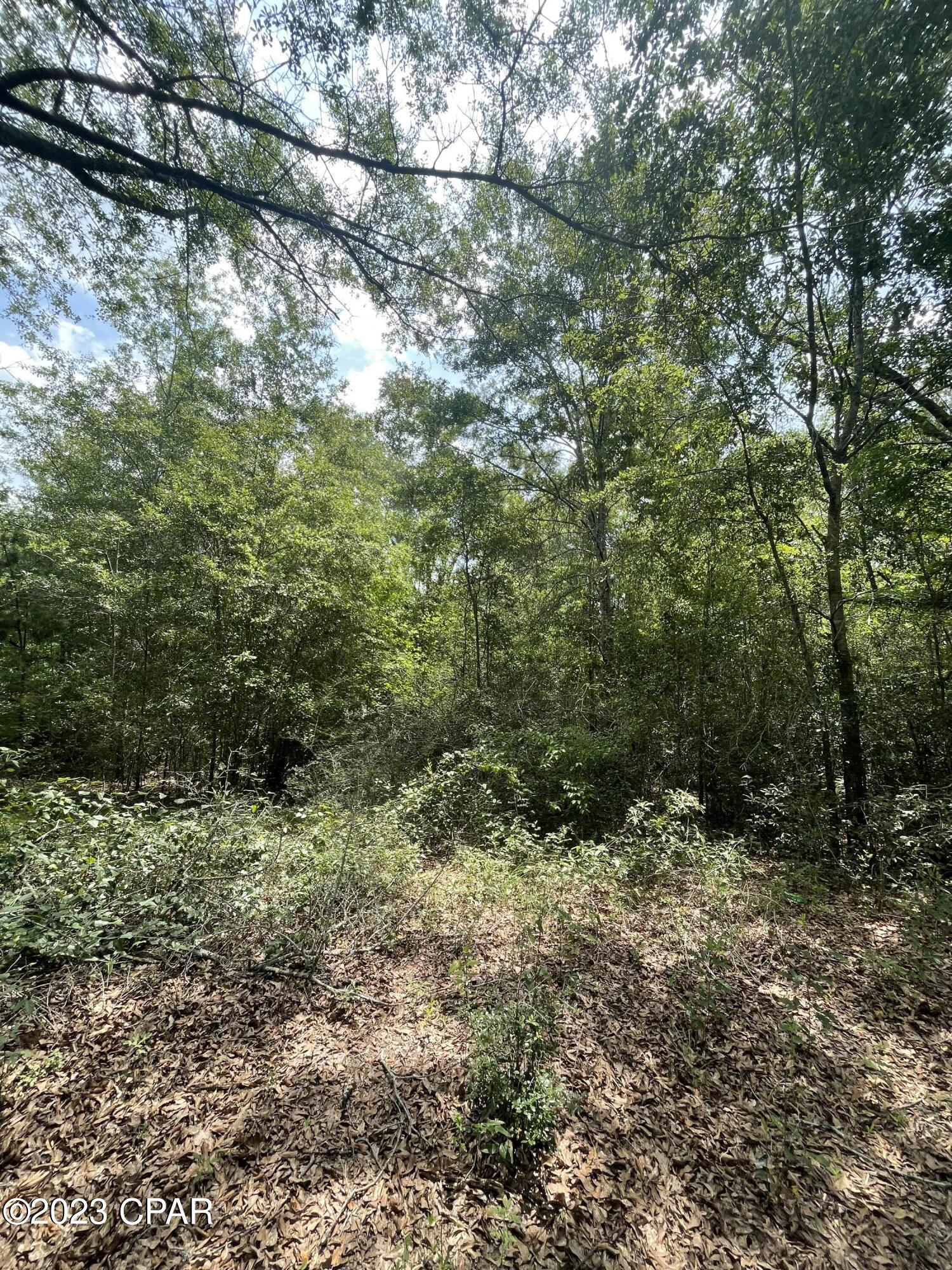 No Named Subdivision - Land