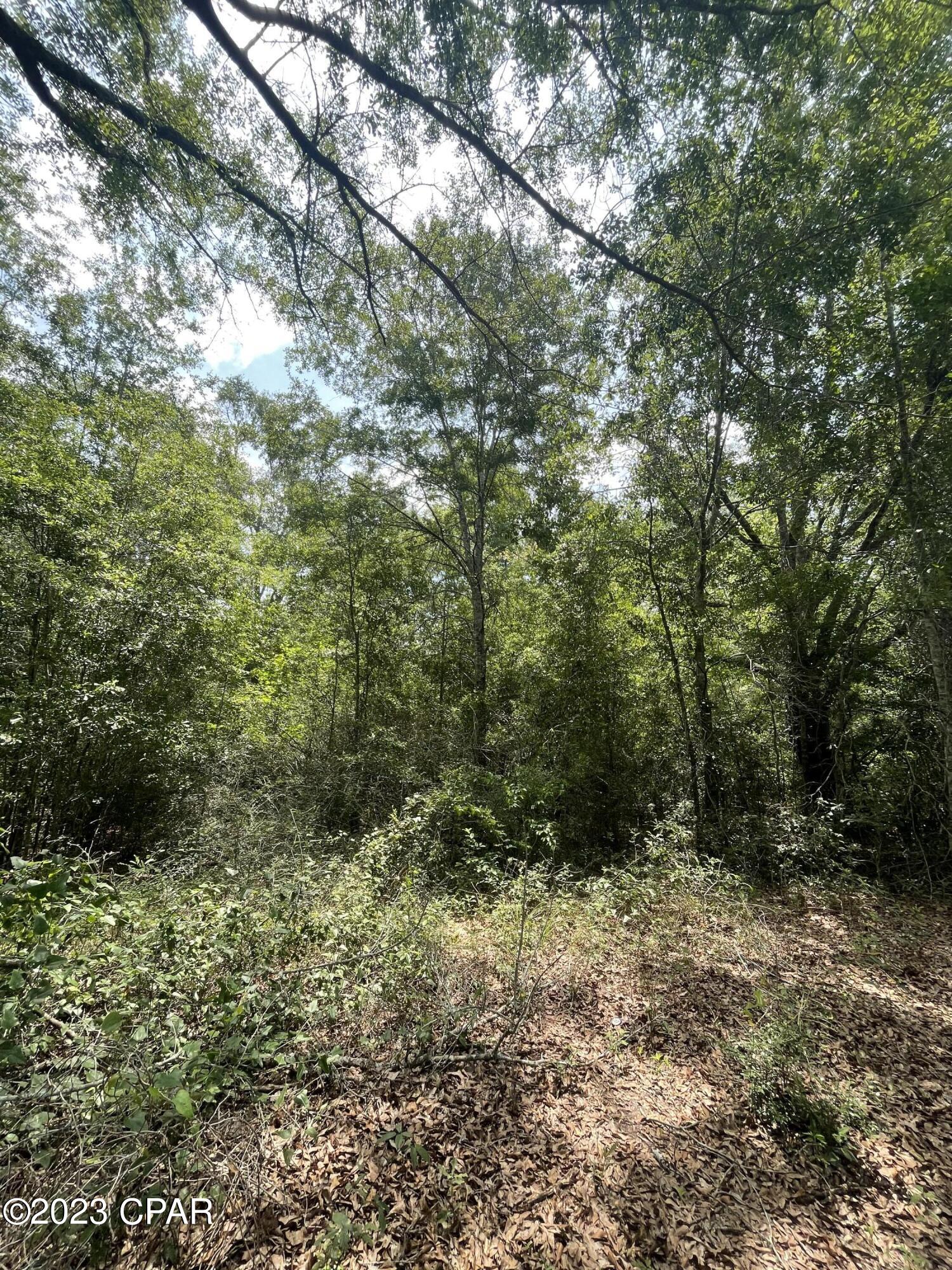 No Named Subdivision - Land