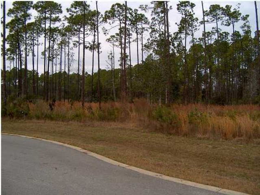 Exceptional Value Here! This beautiful lot in a gated, waterfront community has been value priced. Surrounded by the fertile waters of the east arm of St.

Andrews Bay, this superb building lot features an unsurpassed wetlands view form its waterfront breadth. A property owner's association provides a swimming pool, boat ramp, day-dock, security gate, fenced recreational vehicle and boat storage and more. Porpoise, deer, osprey, eagles and aquatic creatures of all kinds are frequent visitors here. Build your very own dream home here and get started on building your Florida-lifestyle! All information taken from tax rolls - please verify. List Price is Firm. Lot size is approx. Please verify if important.