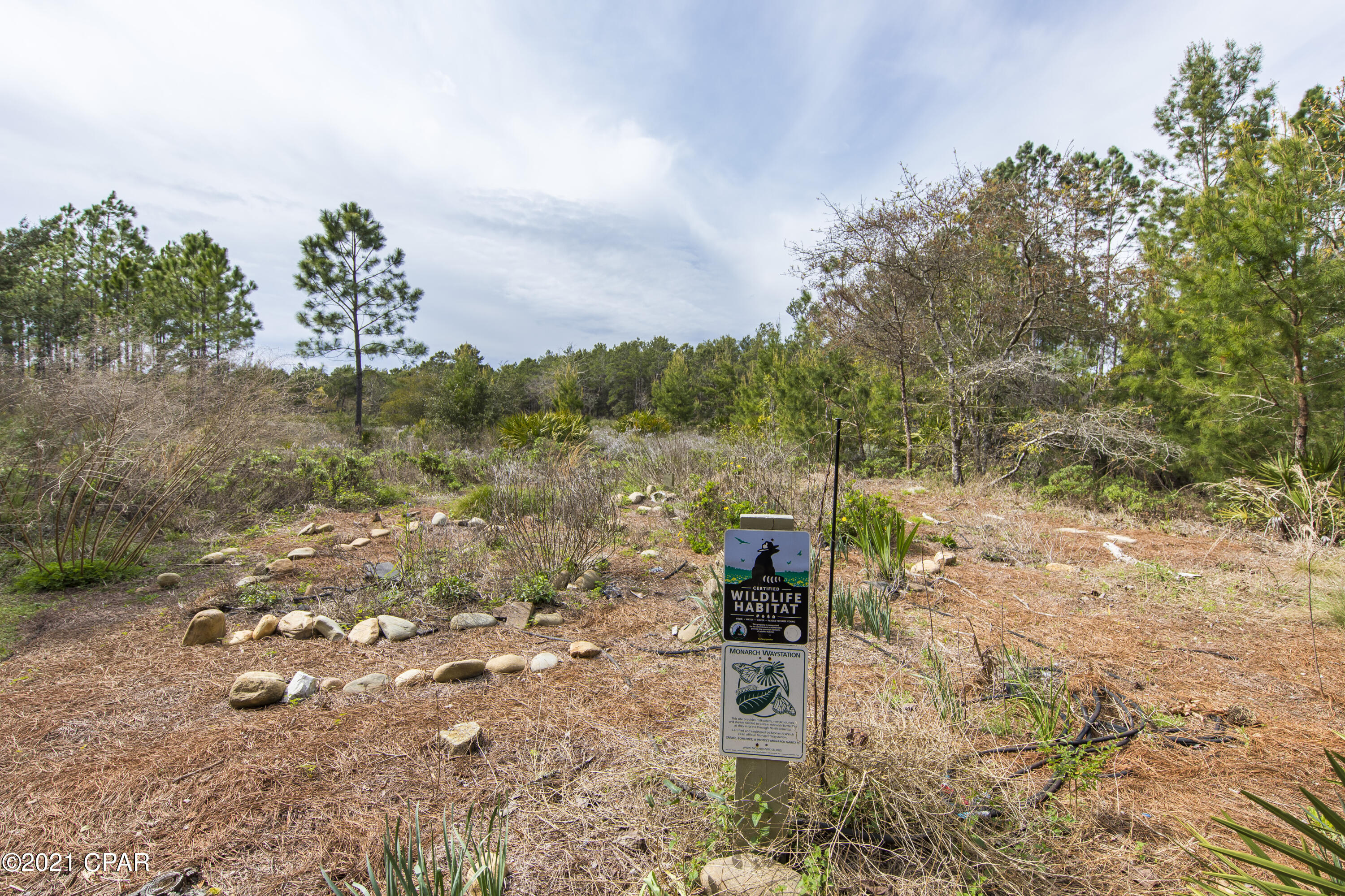 Wild Heron Phase I - Residential