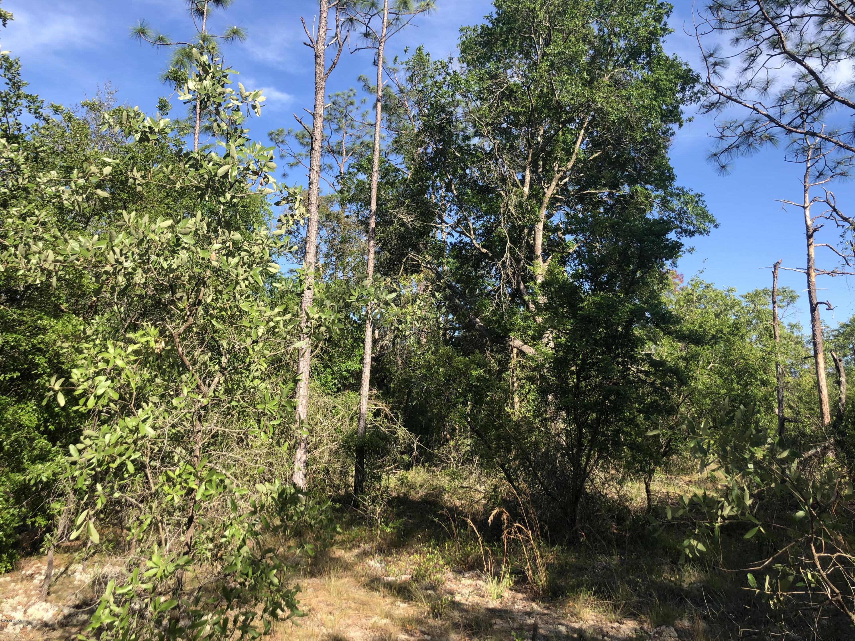 Leisure Lakes - Land