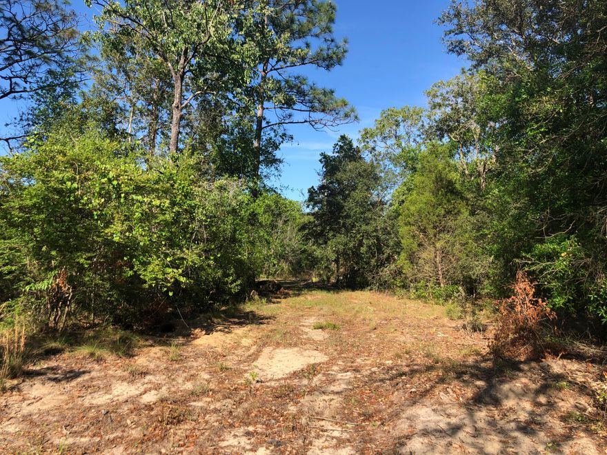 ALMOST 5 ACRES!!!  One of the largest homesites currently available in Leisure Lakes .  This beautiful parcel has so many lovely hardwoods and oaks, and it backs up to the riding trails!  You have plenty of room on this parcel for your home, barns, room to make a great pasture.  You no longer have to pay those boarding fees plus you can go riding anytime.  The natural wooded community of Leisure Lakes has so many amenities for you to enjoy.  Lake Suzanne and Lake Denise both have concrete landings to put your boat in (no gas powered motors) and catch plenty of fish.  Lake Denise also has a pavilion overlooking the scenic lake complete with kitchen, picnic tables and grills for family gatherings as well as a pool,  kids playground, basketball court and tennis courts.  Friendly community 24 hour gated security.  Lots of people walk, ride golf carts, etc.  Sellers have cleared driveway areas and enough areas to make the property easy to walk.  New survey attached in documents.