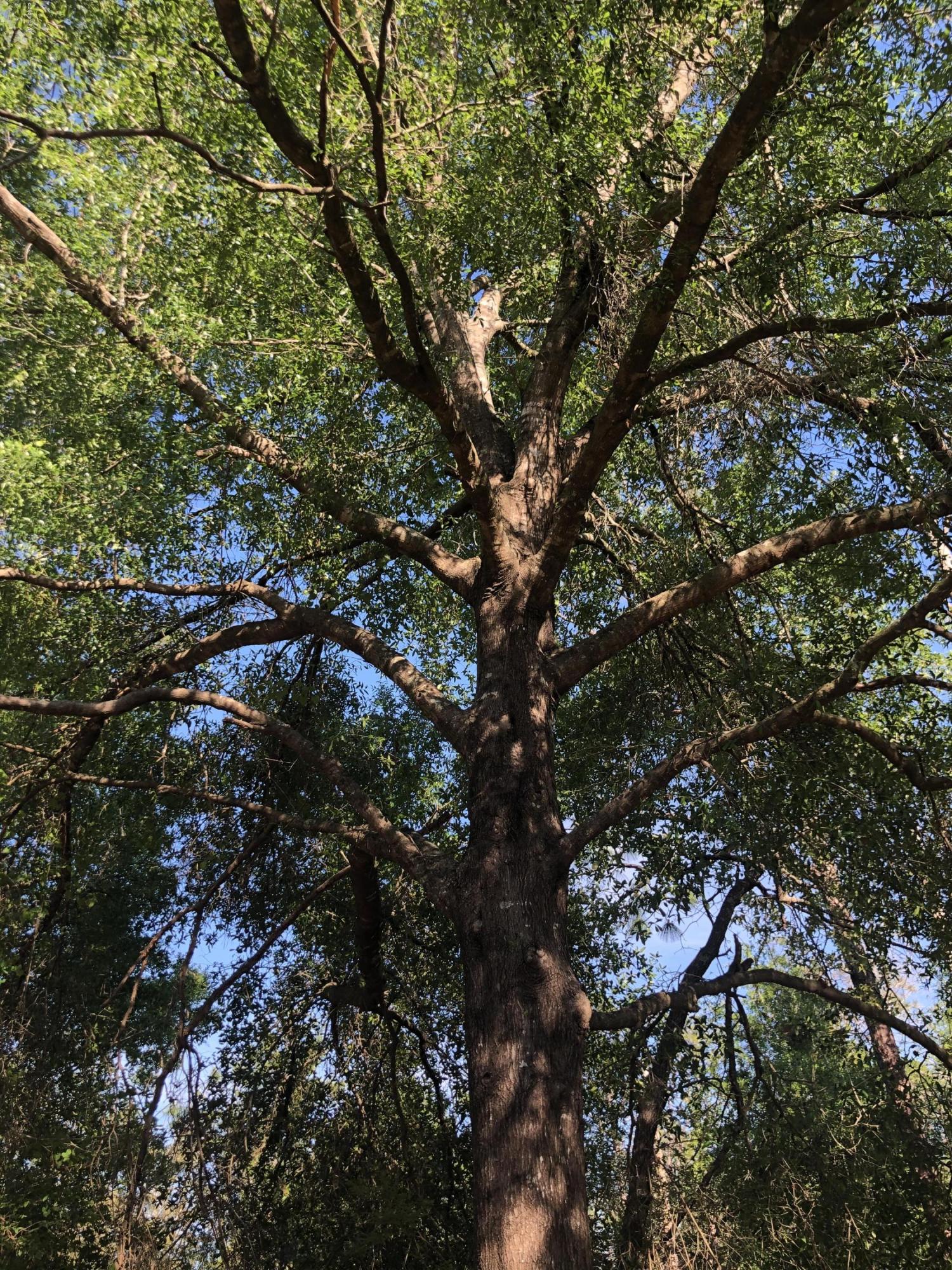 Leisure Lakes - Land