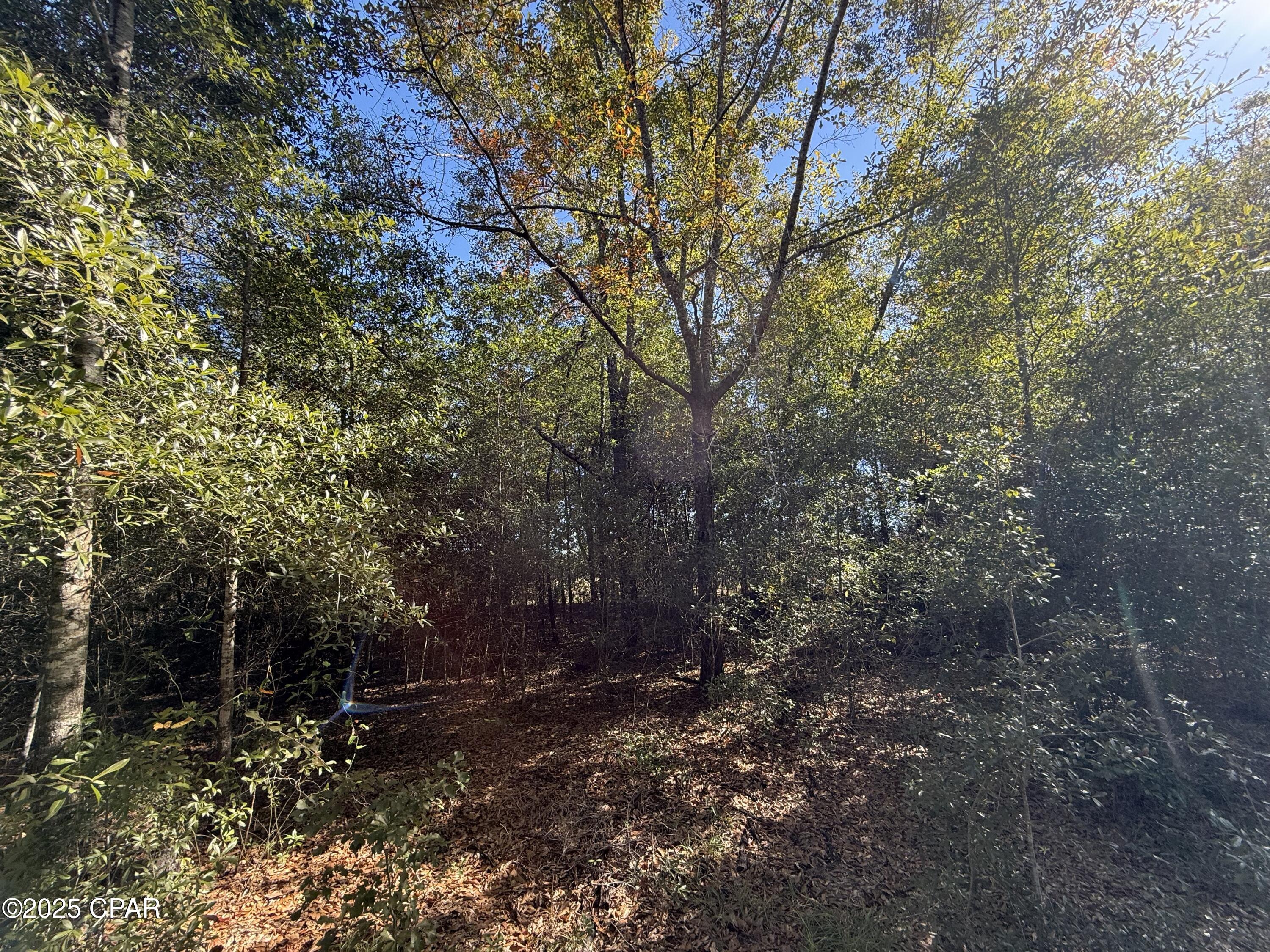 [No Recorded Subdiv] - Land