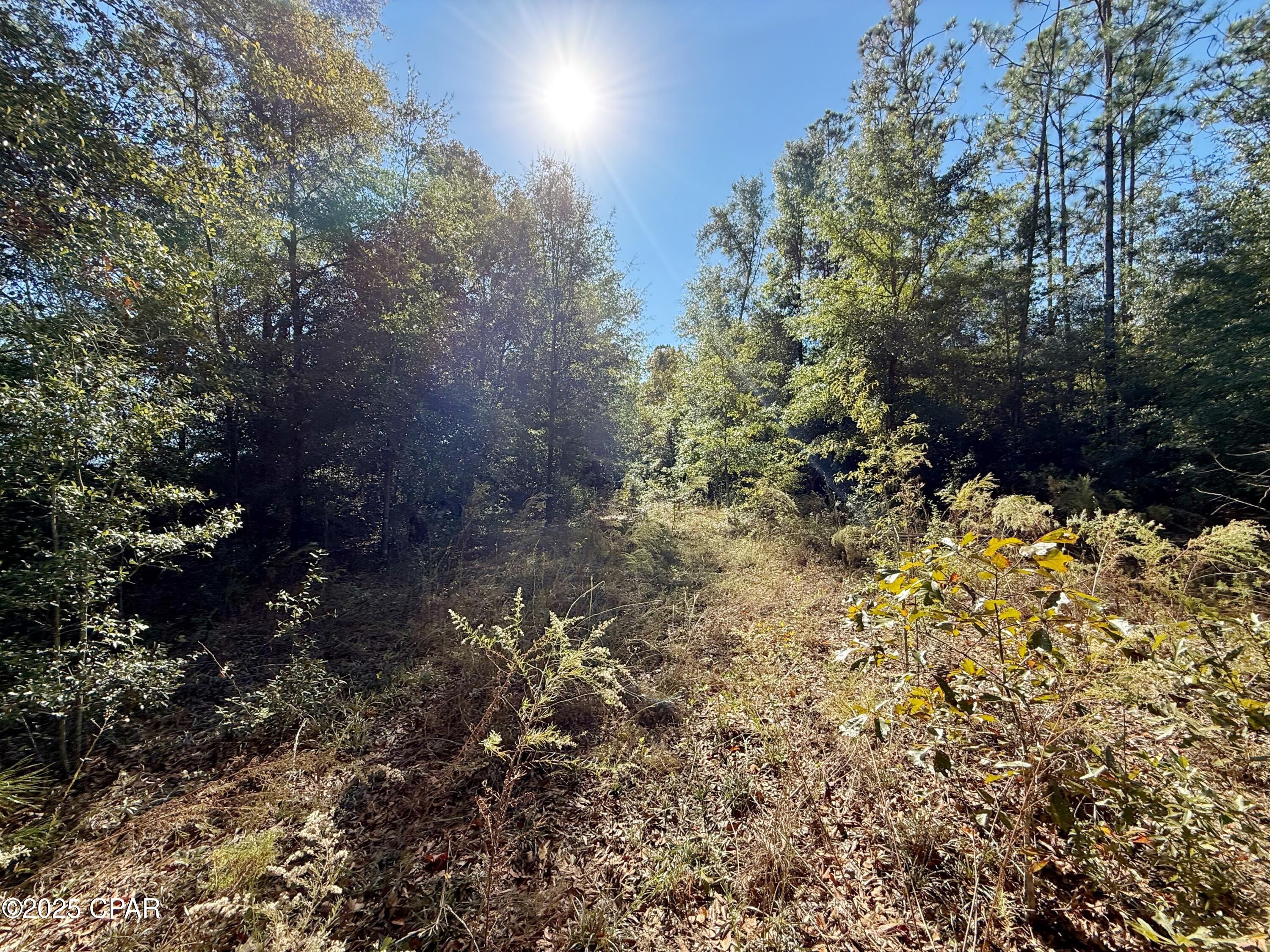 [No Recorded Subdiv] - Land