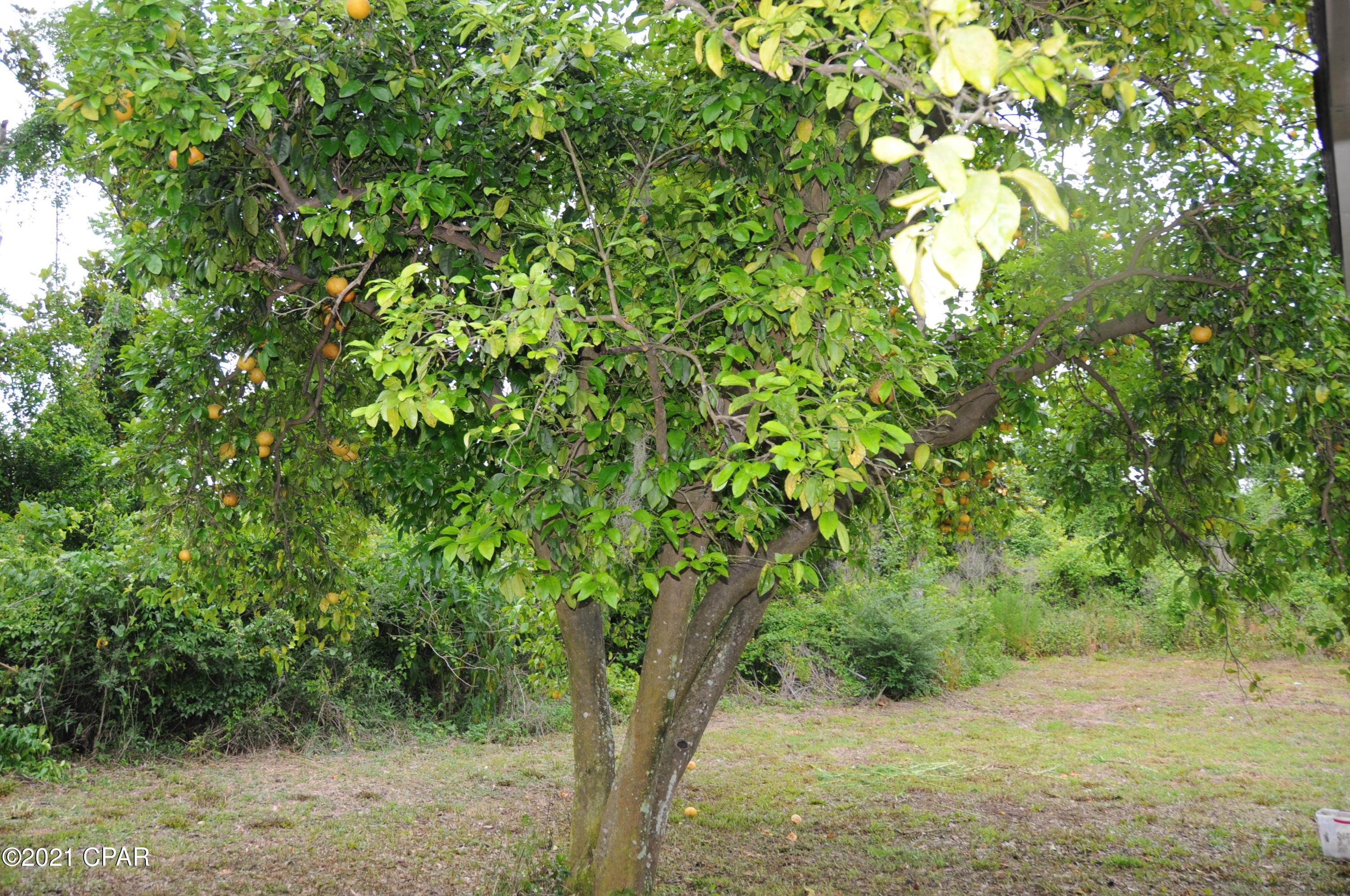 Hardy's Haven - Residential
