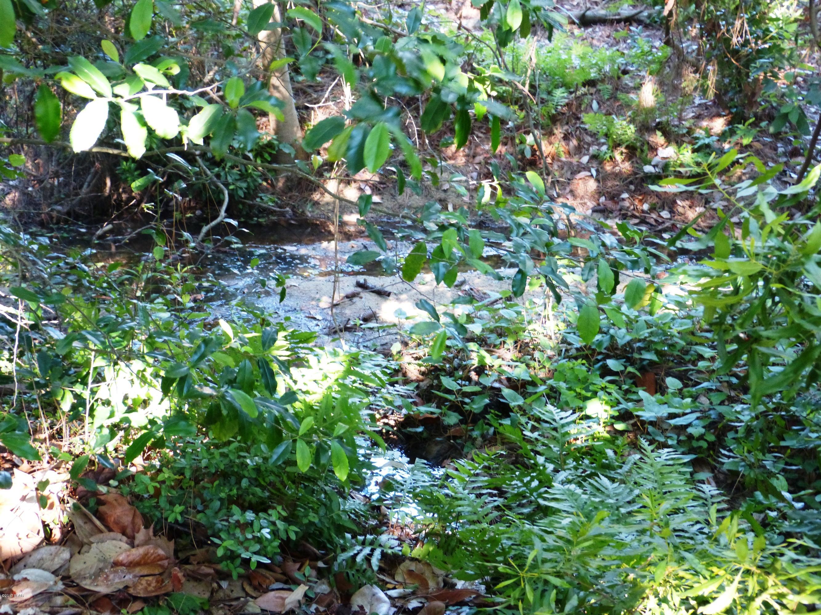 Laguna Beach Ammended - Residential